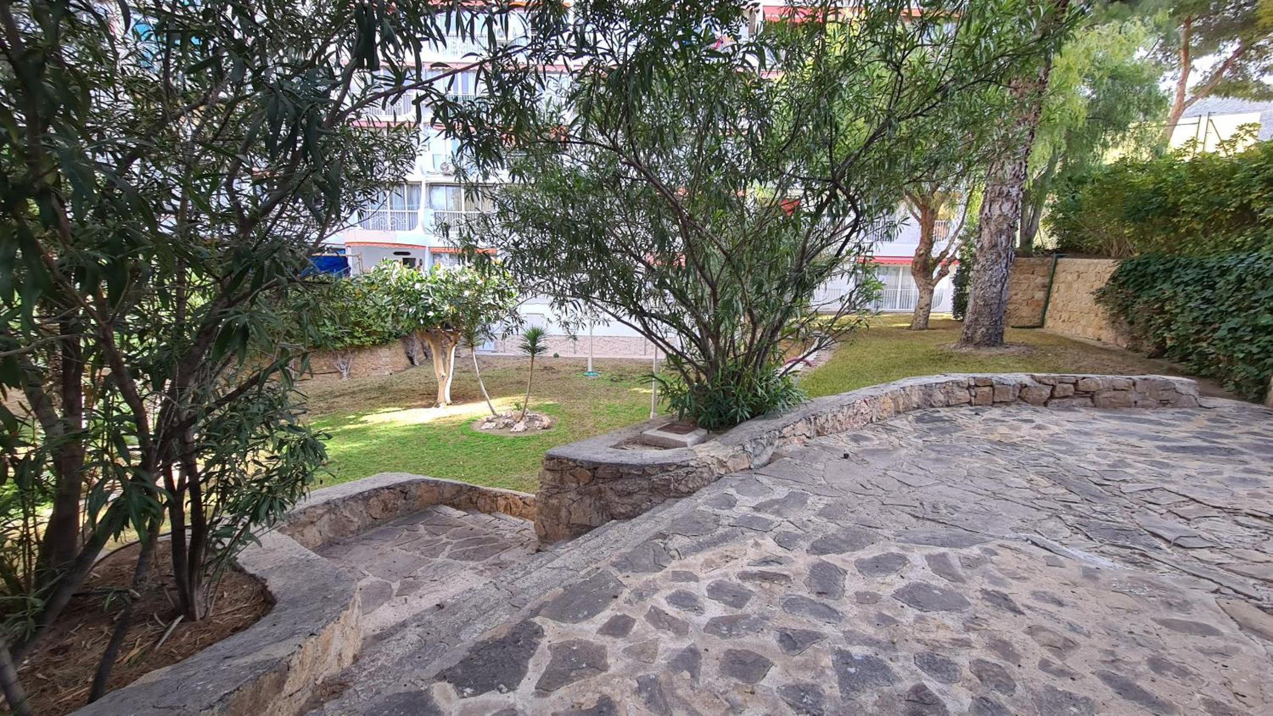 Photo 41