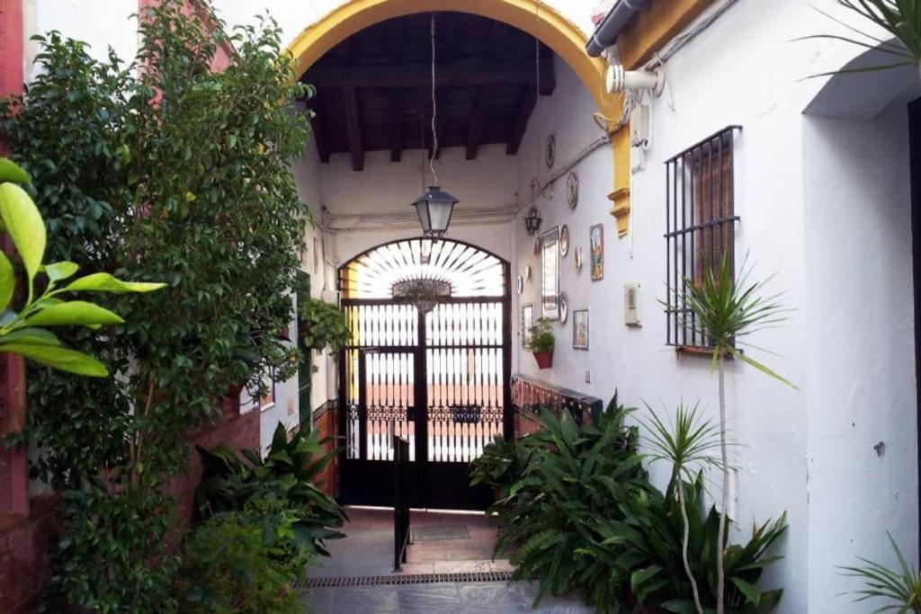 Típico y pintoresco patio de vecinos, con encanto view 3