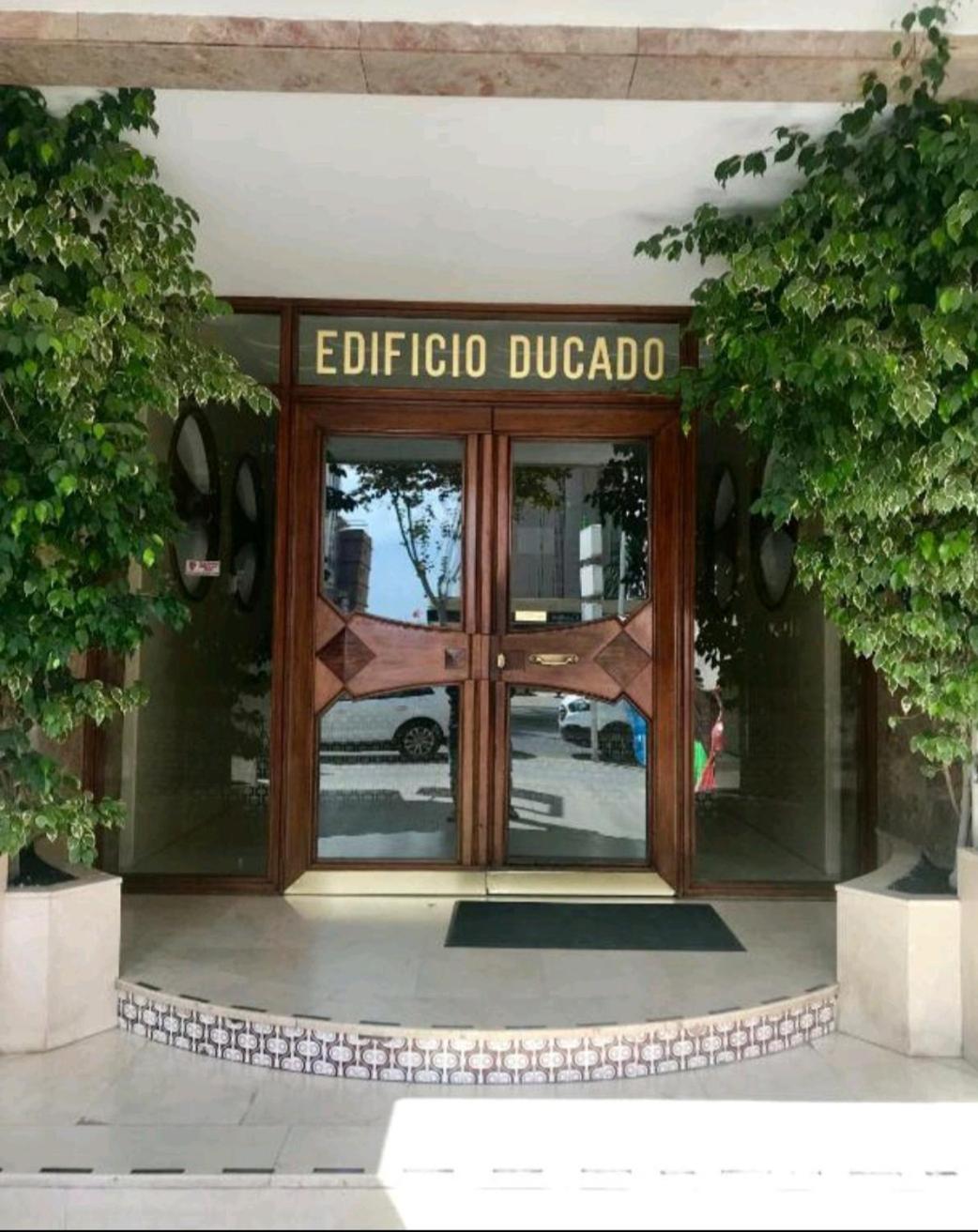 Estudio Ducado IF Benidorm