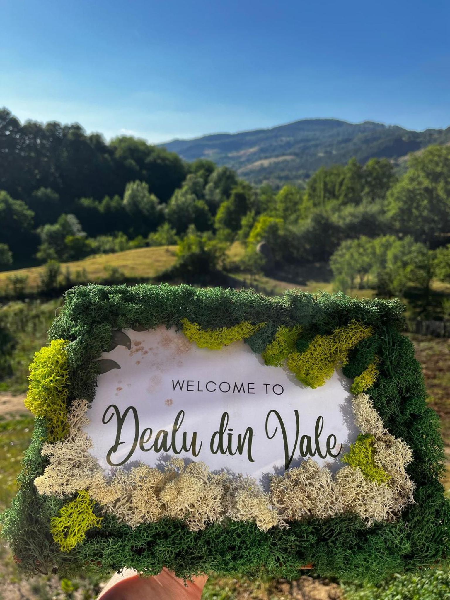 Dealu din Vale view 2
