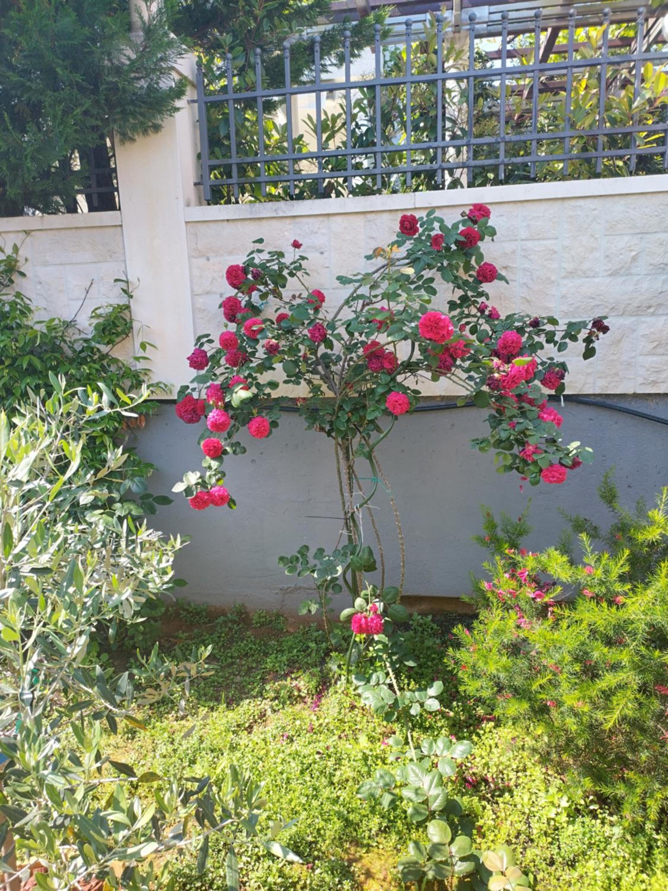 Villa FraMar view 2