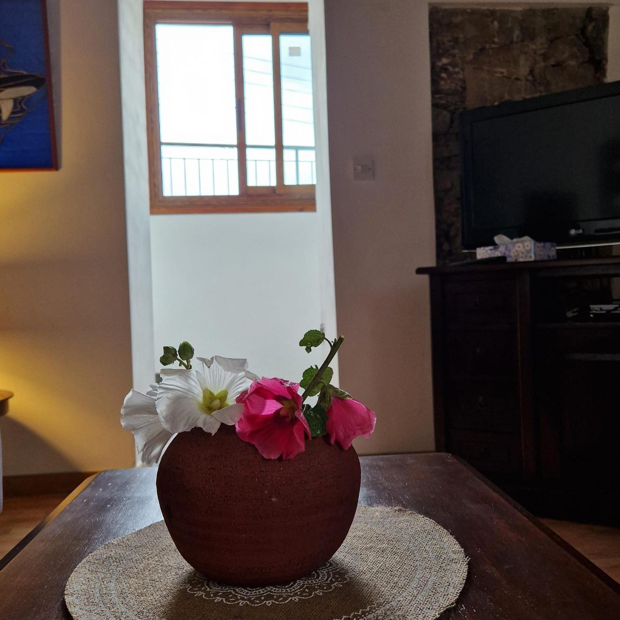 THE ROCK HOUSE - Beautiful countryside with mandarins oranges and olive trees,. Near Limassol at Eptagonia village.