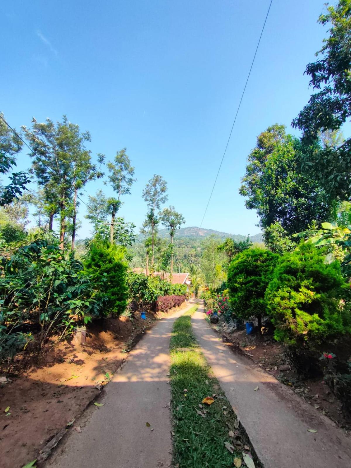 Shivalaya Homestay view 5
