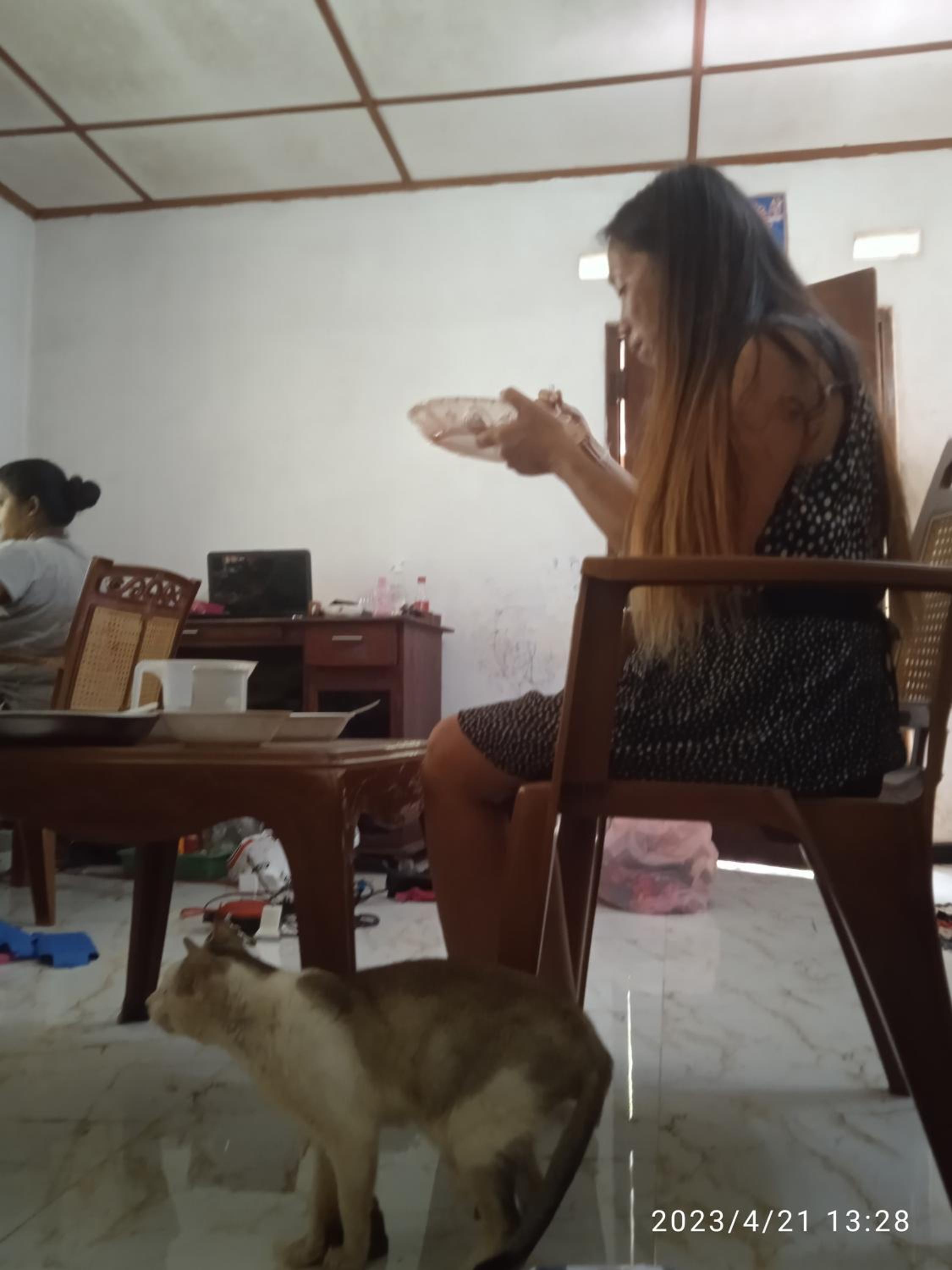 Photo 37