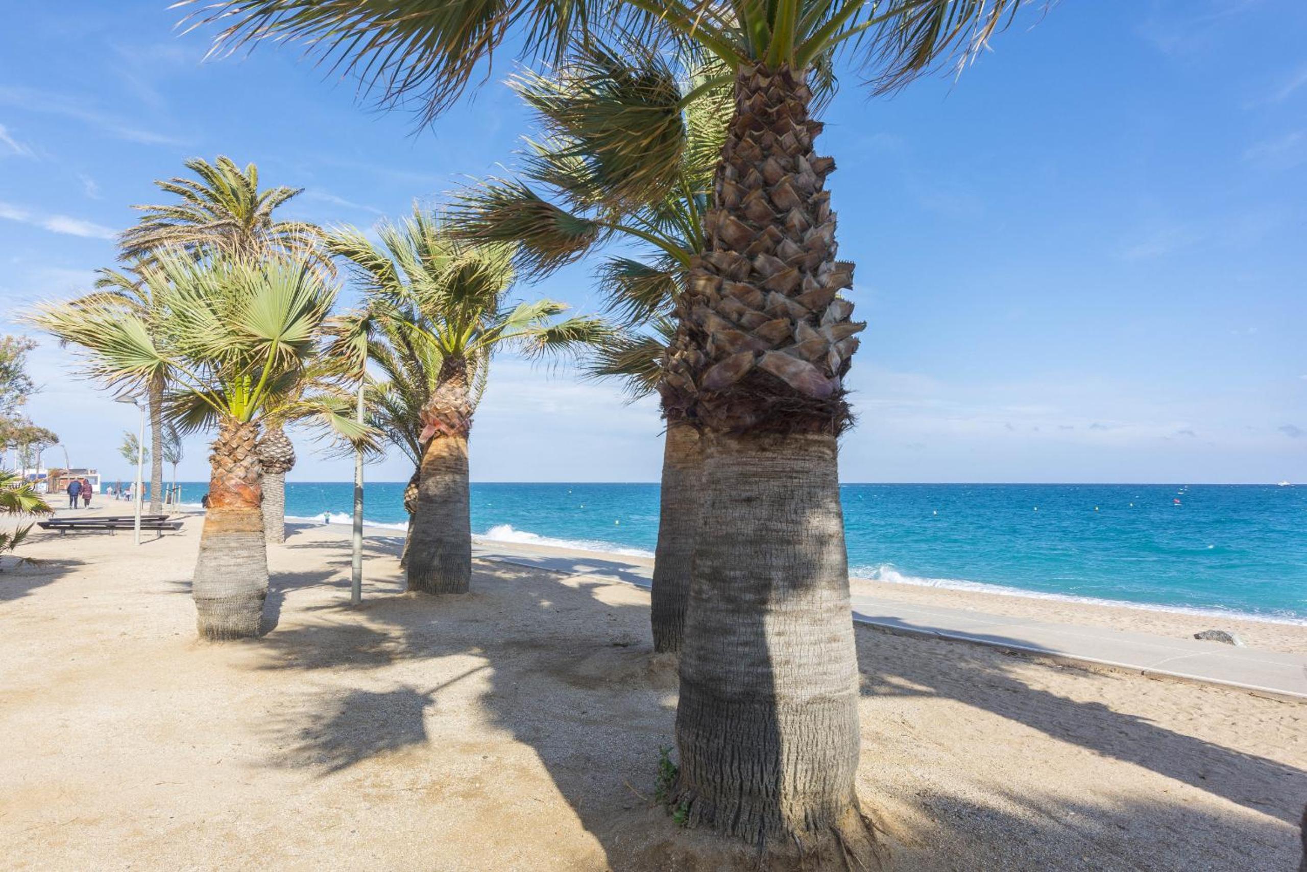 HomeHolidaysRentals Fortuny - Costa Barcelona
