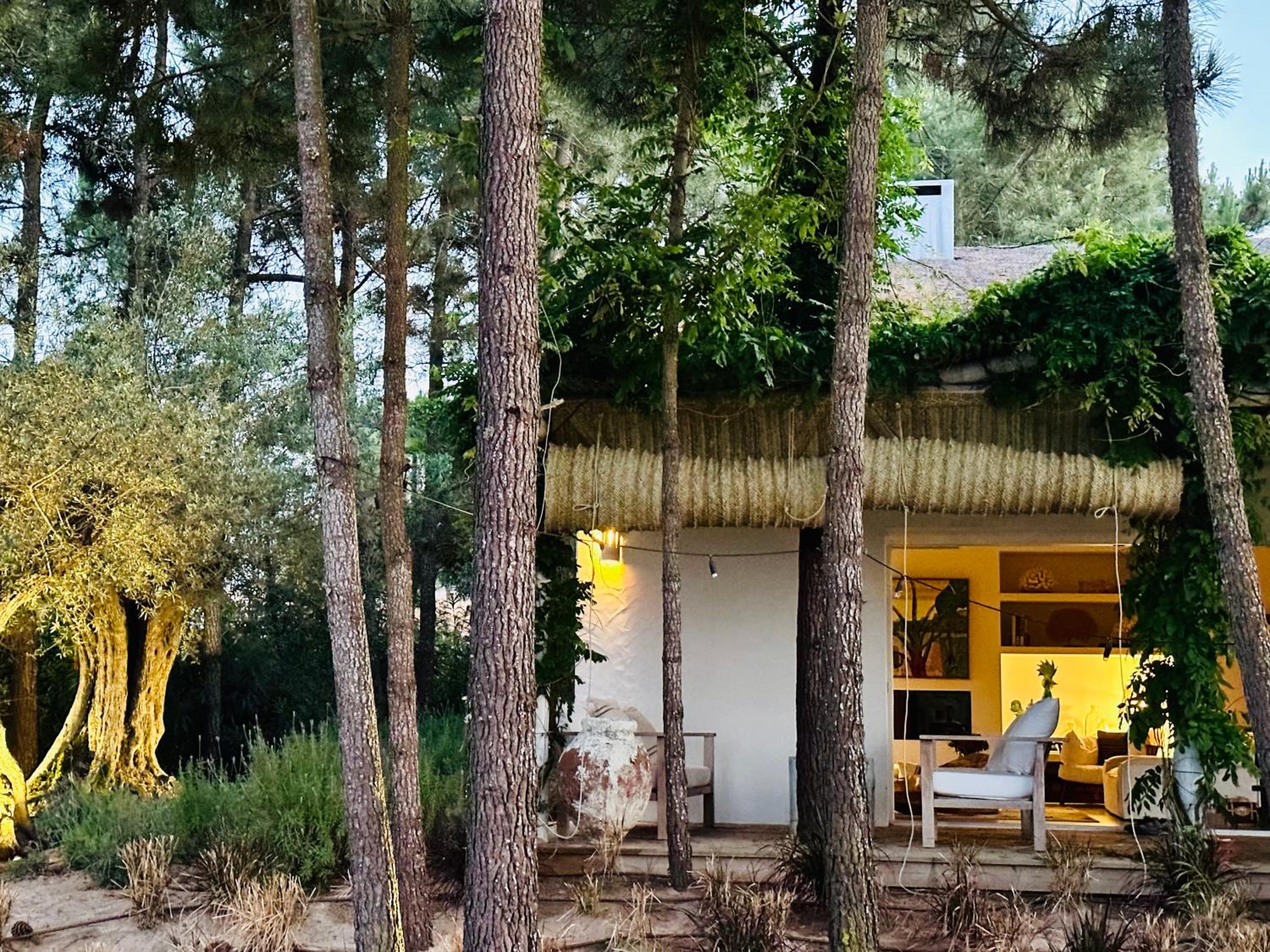 Cabana Lavanda Comporta view 3
