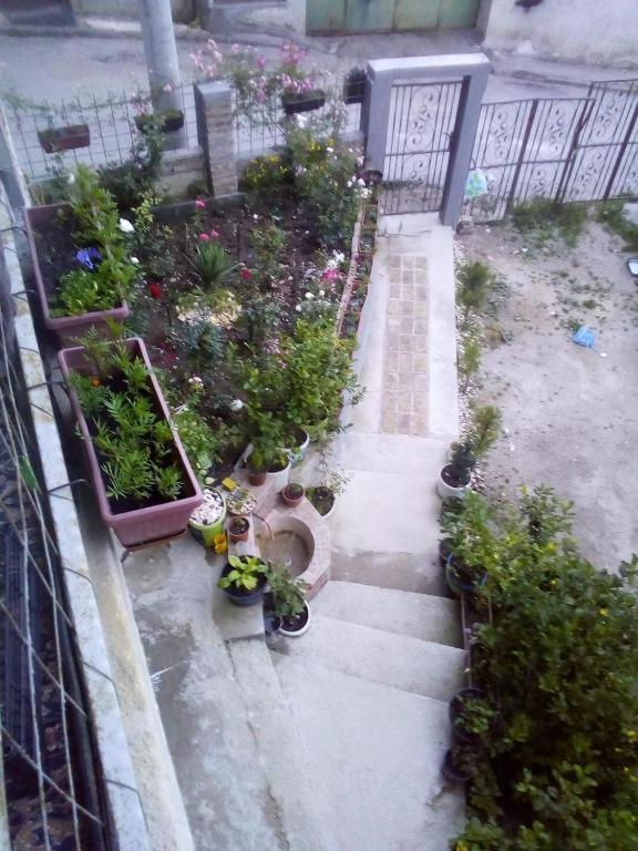 Apartman Turkana 2
