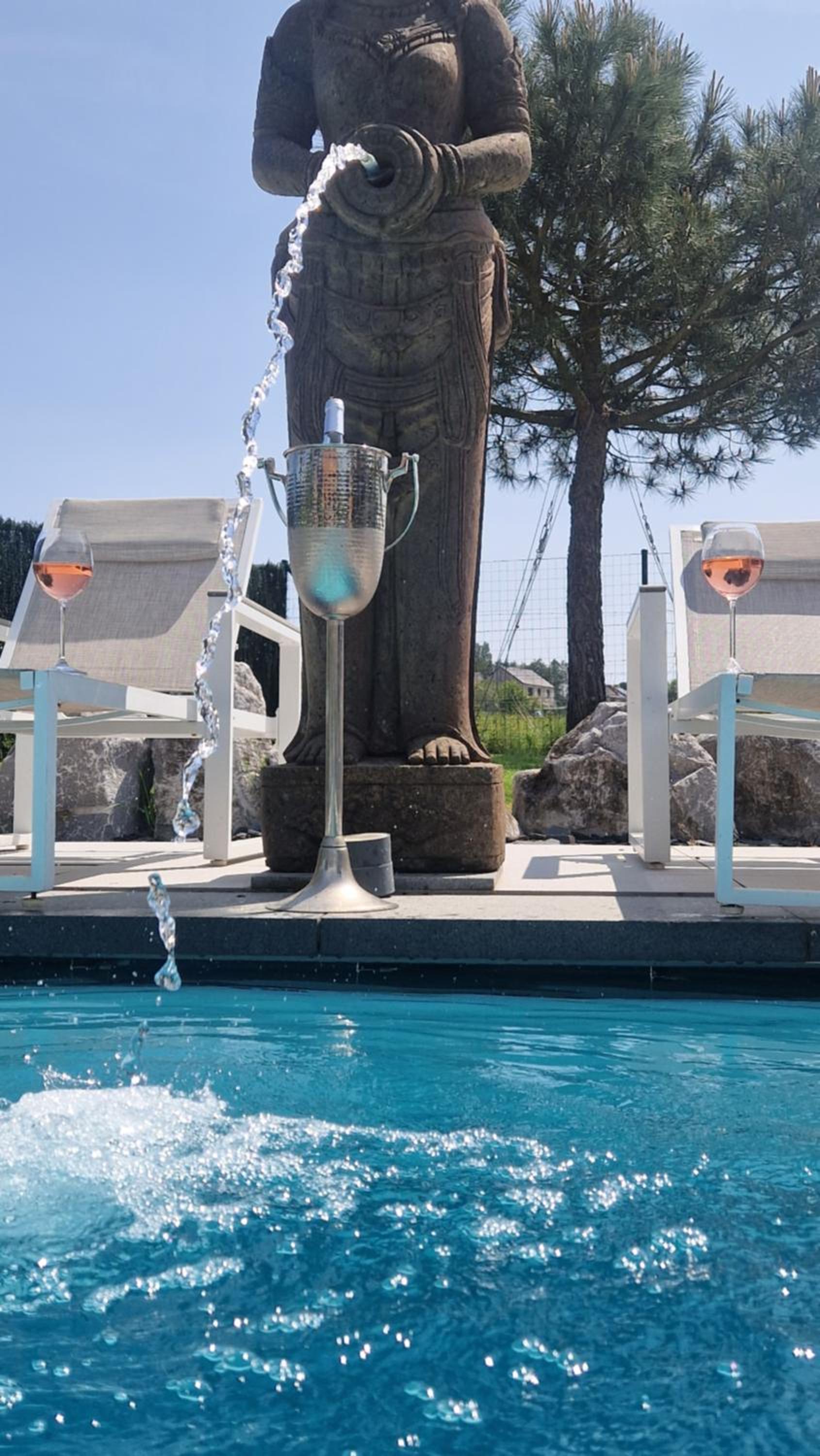 LA VILLA DE SENY , villa de charme avec jardin ,Piscine nature, jacuzzi , petanque, fitness, billard,ping pong,