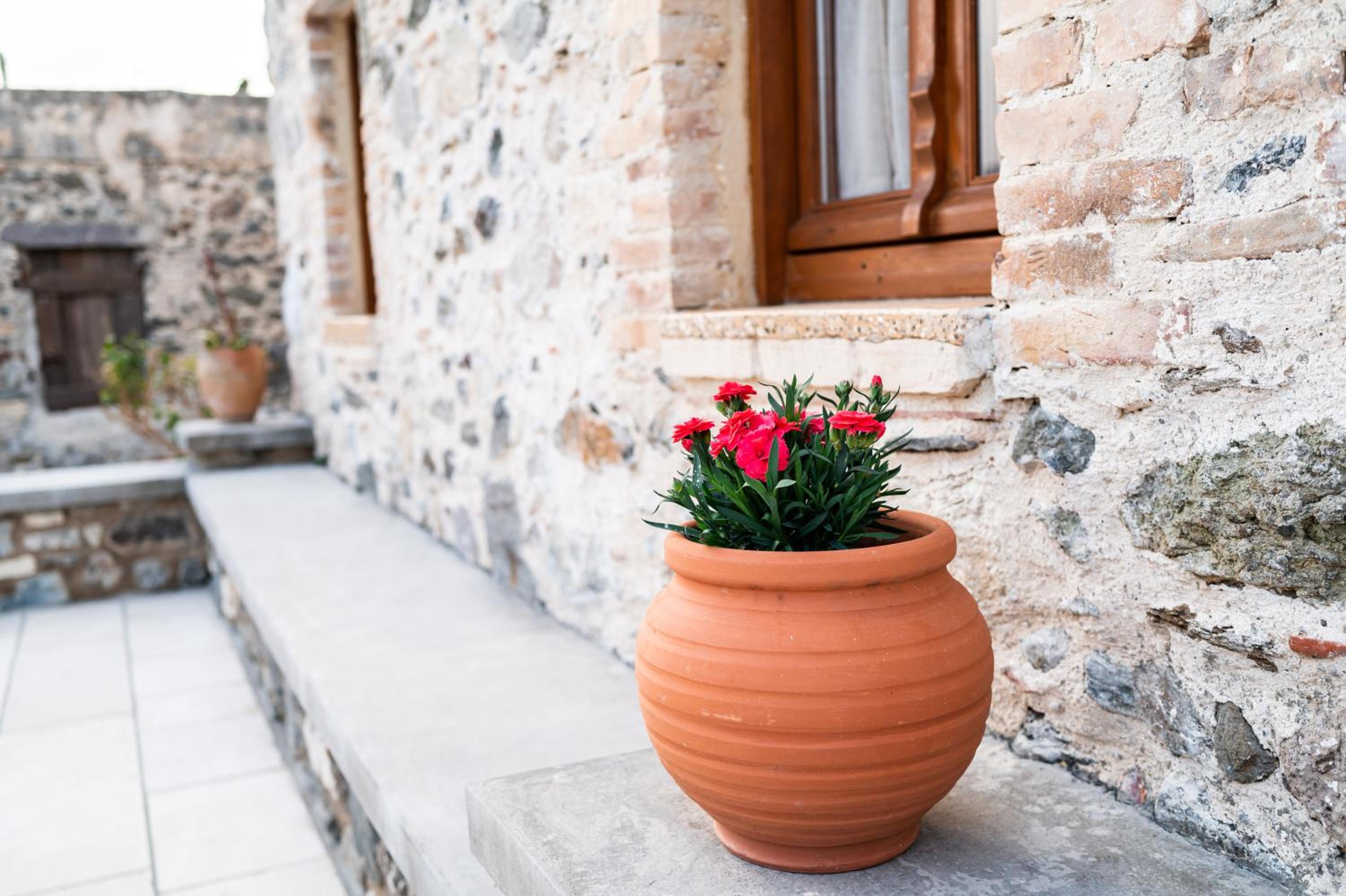 Paradisi Stone House photo 2