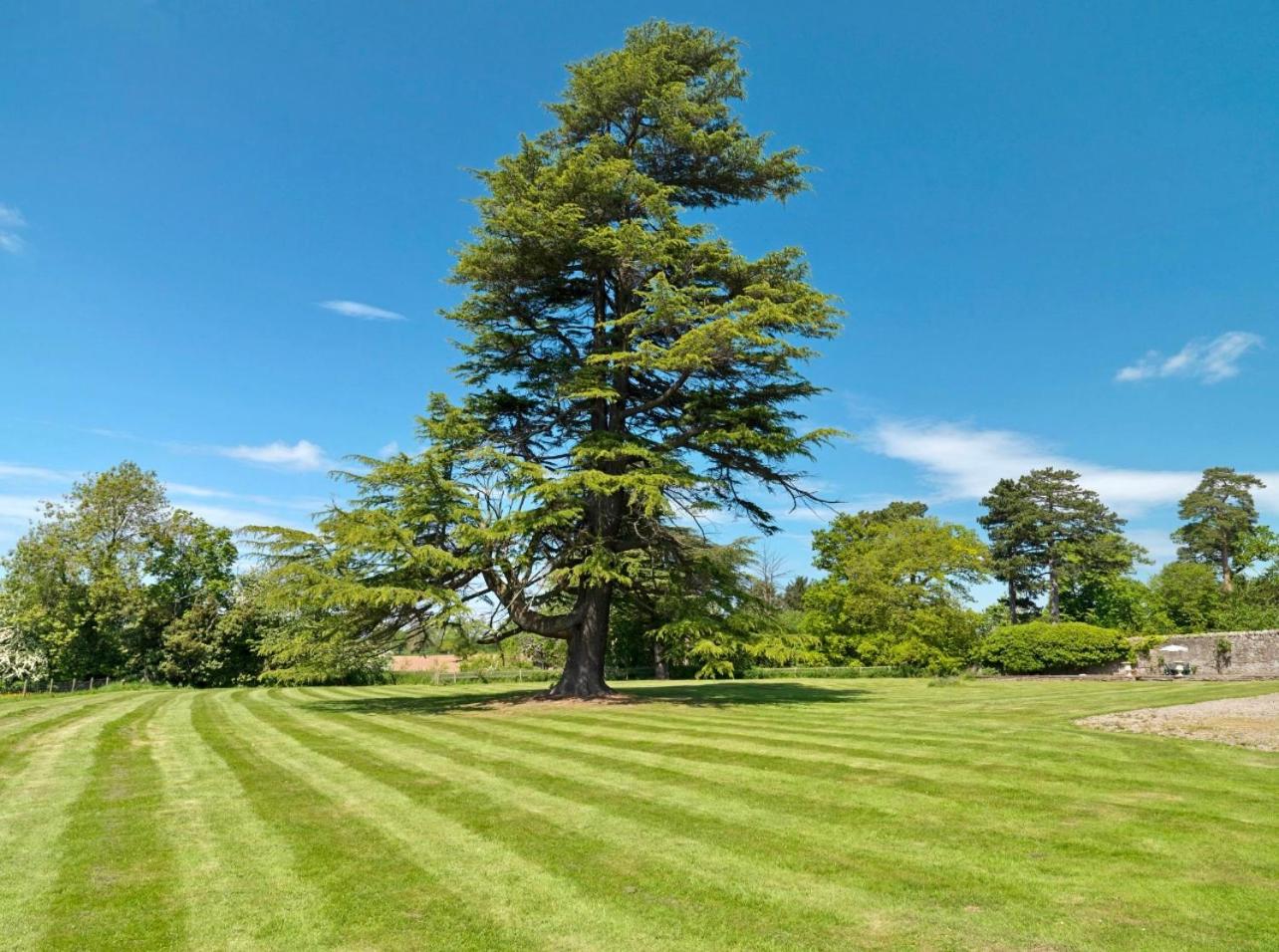 Newcourt Manor view 5