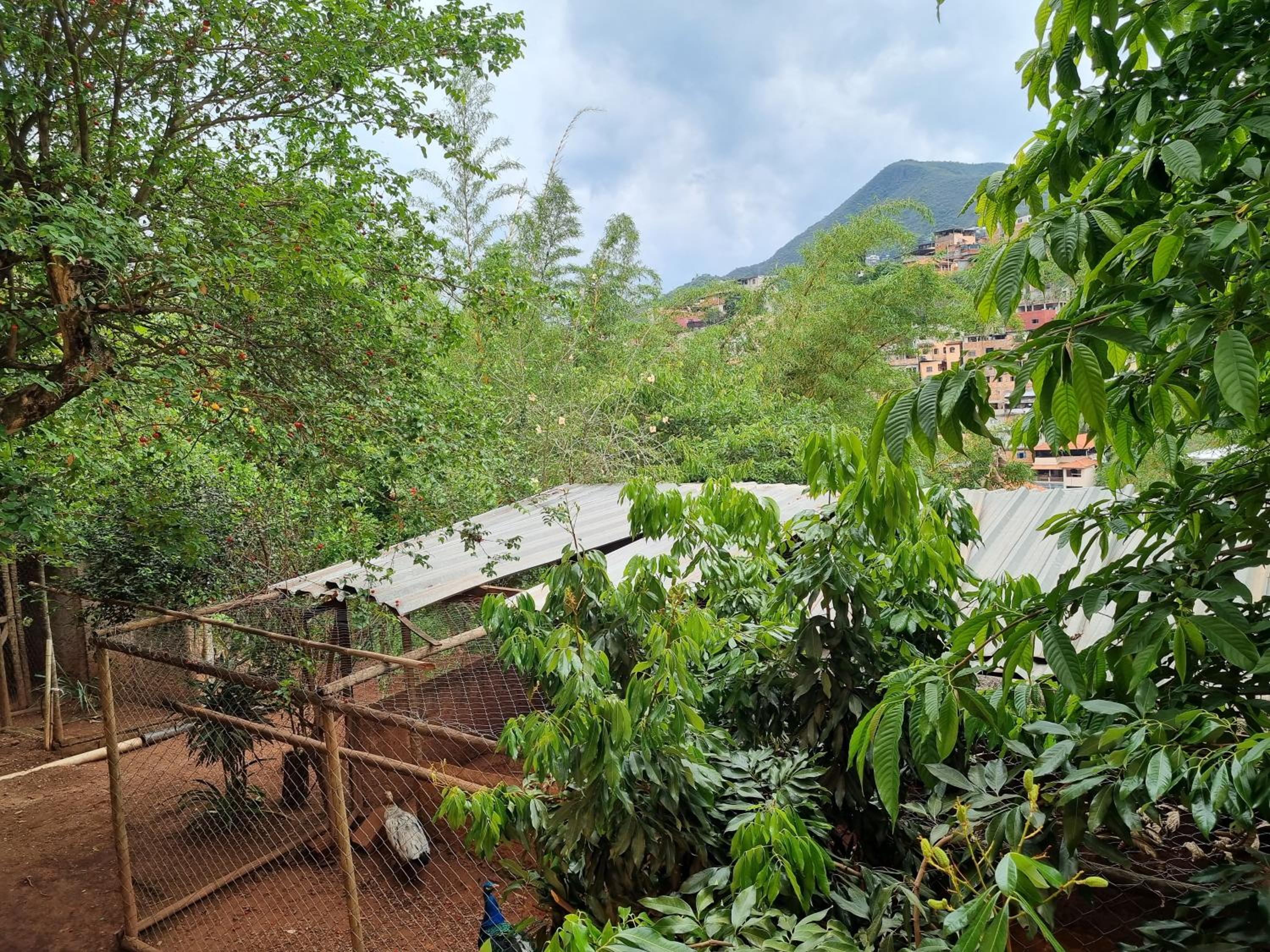 Casa Faisão