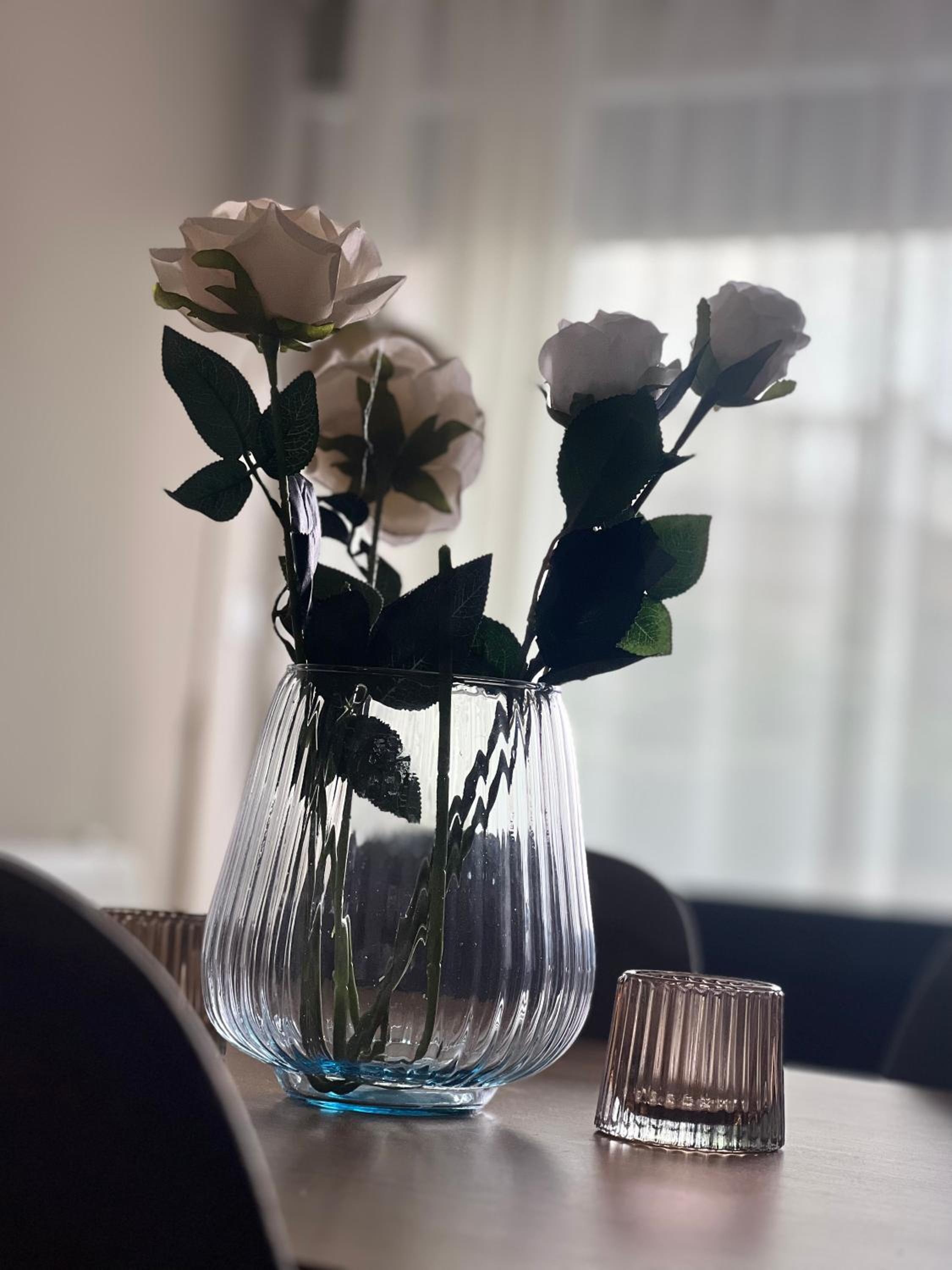 Alma Rose Apartment