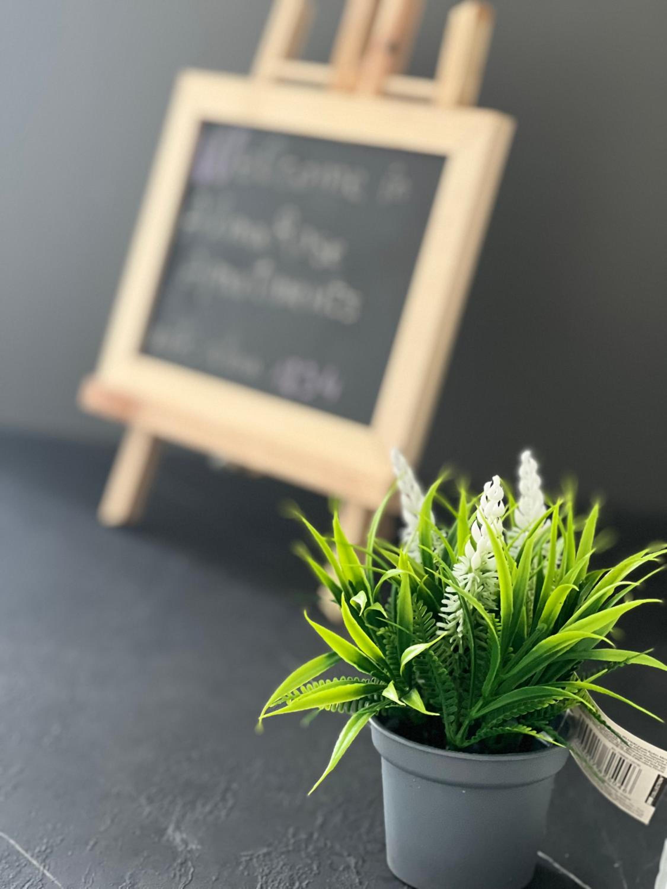 Alma Rose Apartment