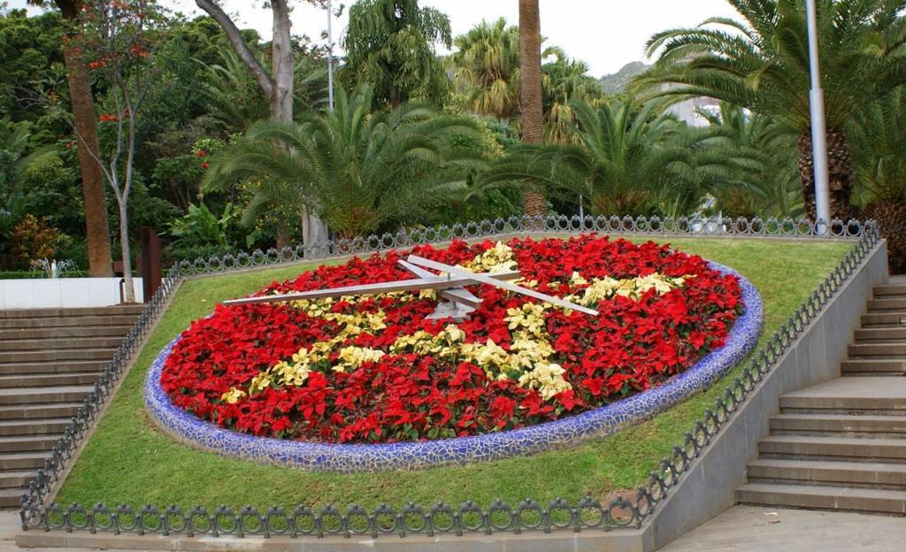 Santa Cruz de Tenerife Toscal, Free Parking gratis view 4