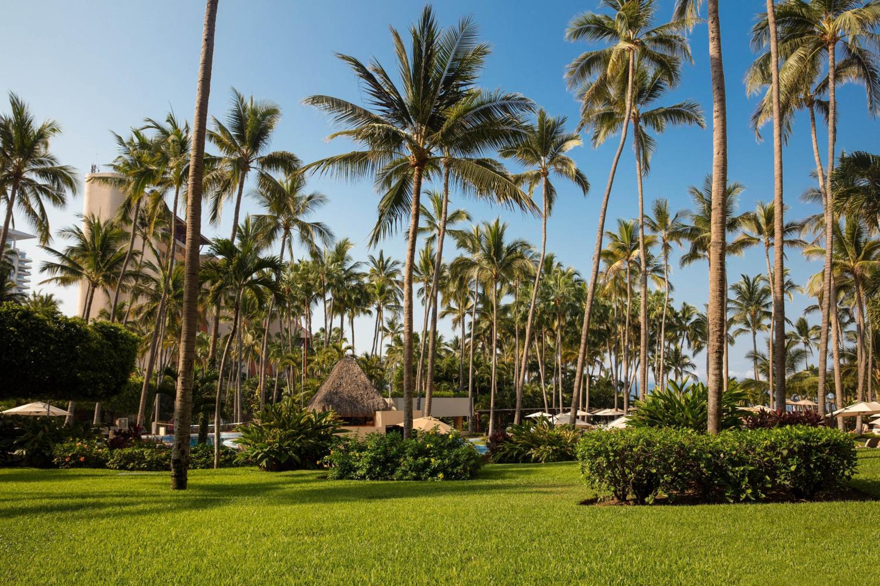 Puerto Vallarta Vacations - The Westin Resort  Spa, Puerto Vallarta - Property Image 2