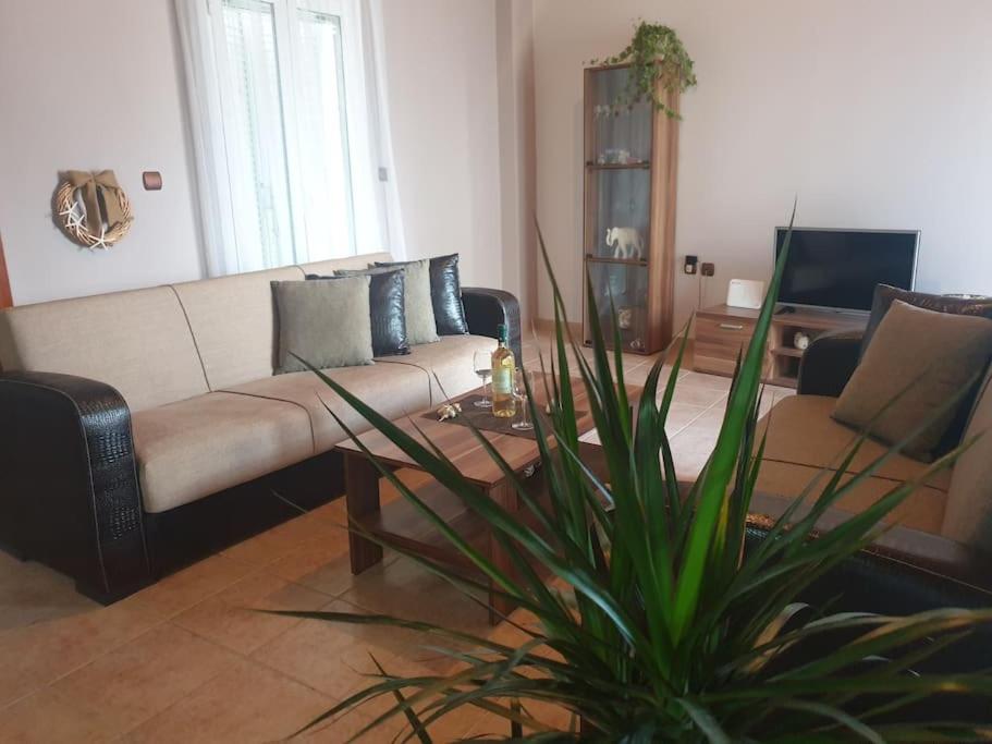 Family & friends Maisonette in the center of Lixouri photo 2