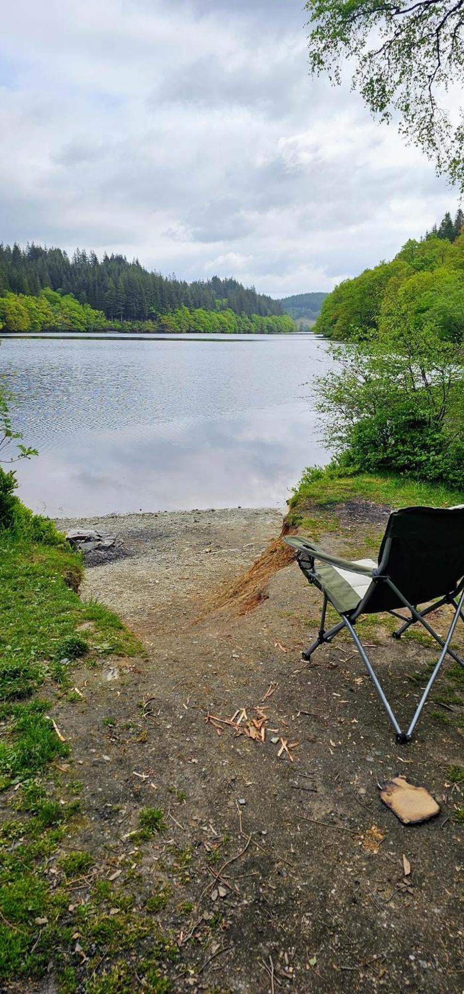 Pinetree Cottage, dog friendly, Holiday let, Callander Invertrossachs view 4
