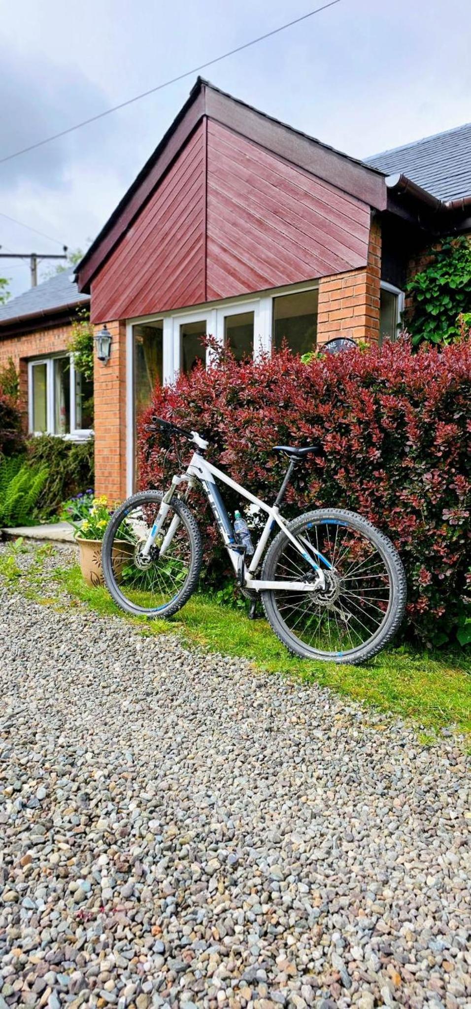 Pinetree Cottage, dog friendly, Holiday let, Callander Invertrossachs view 3