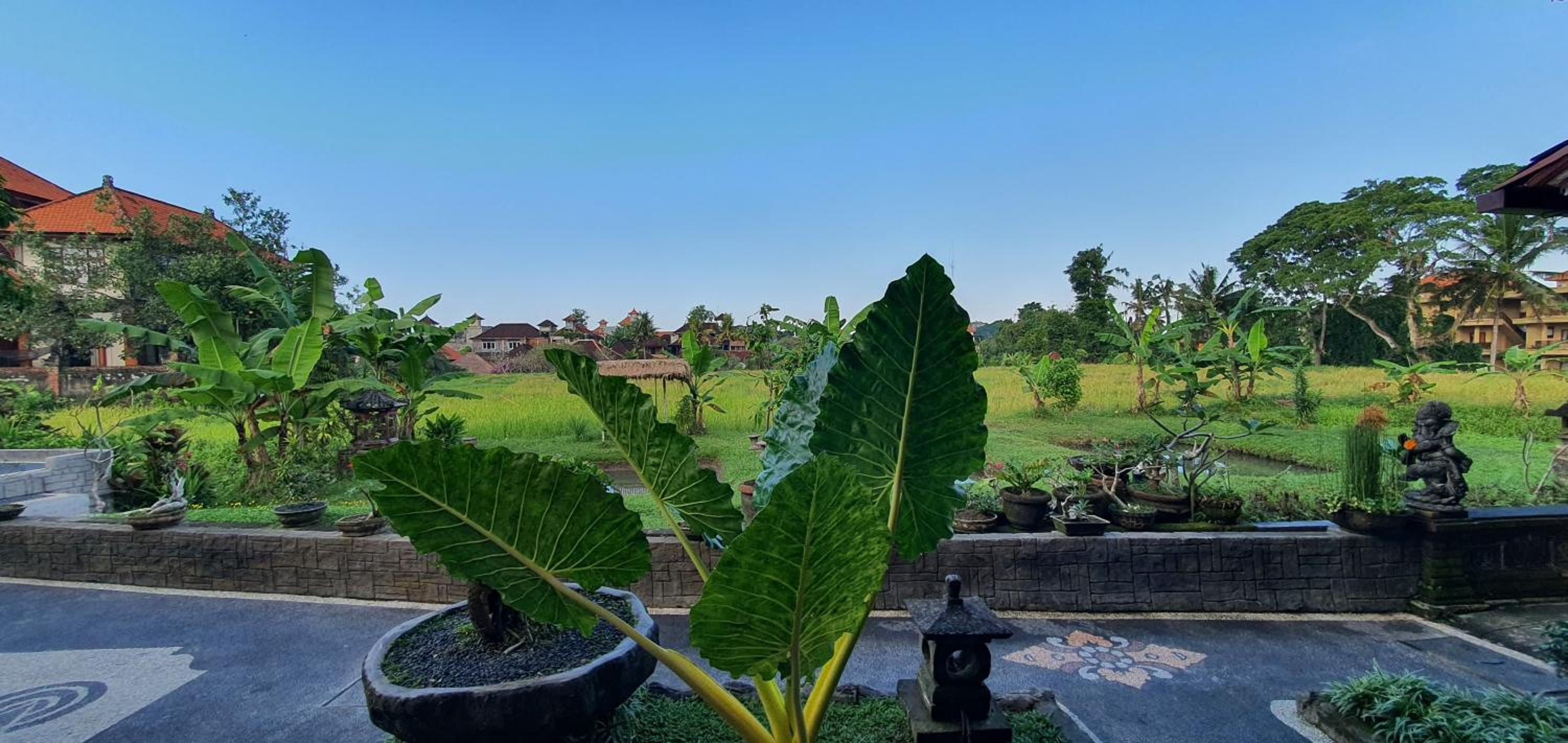 Kun - Kun Guest House Ubud