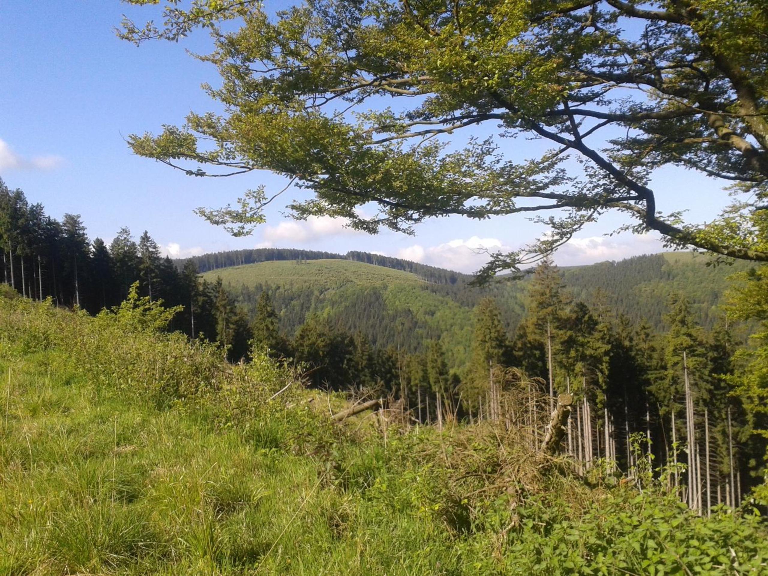 Pension Haus Waldfrieden, MeineCardPlus inklusive