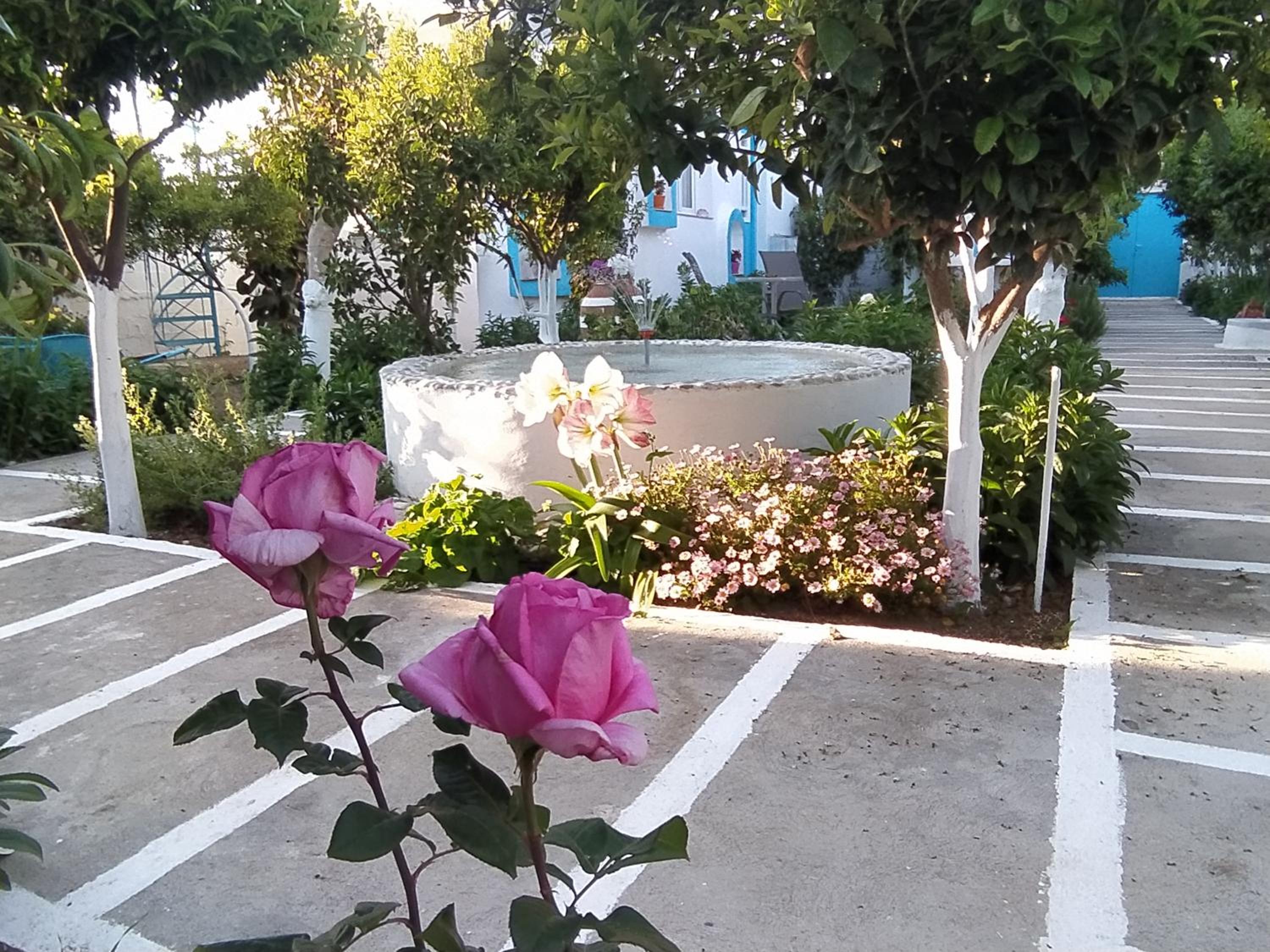 Perivoli 3-Chora(5min away from the center by car) view 3
