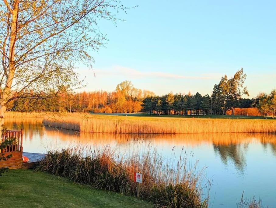 Lakeside View