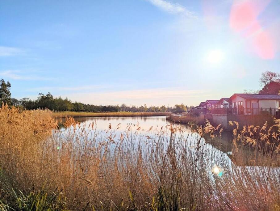 Lakeside View
