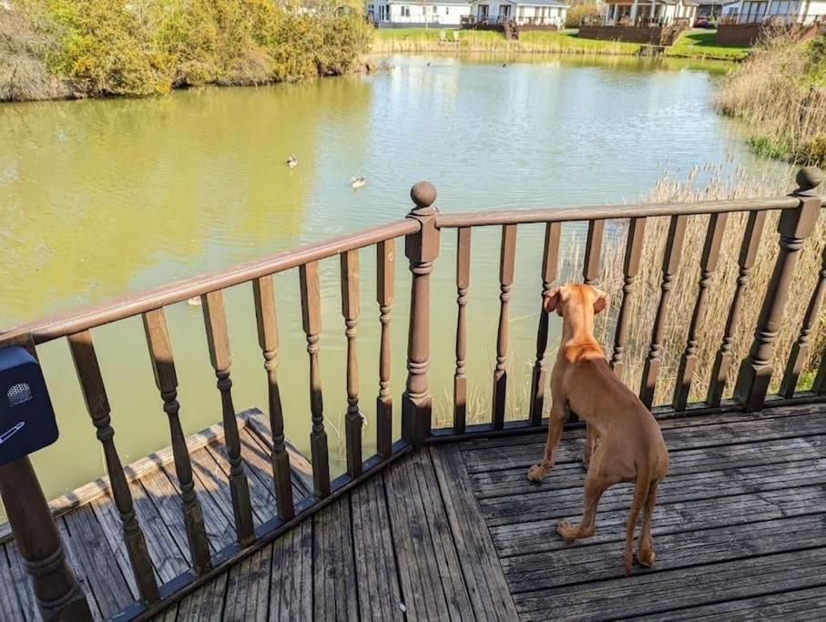 Lakeside View
