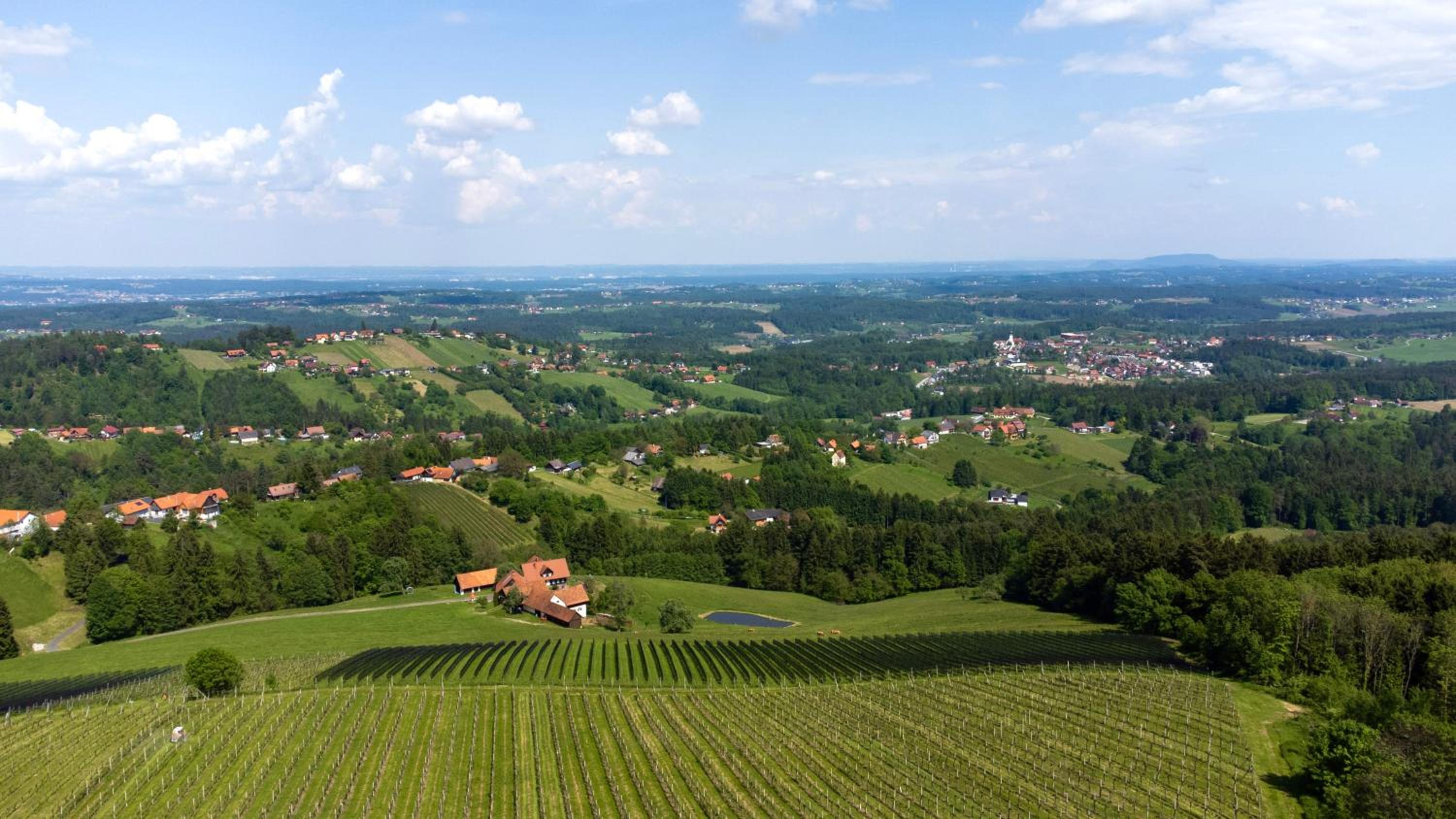 Schilcherland Studio view 5
