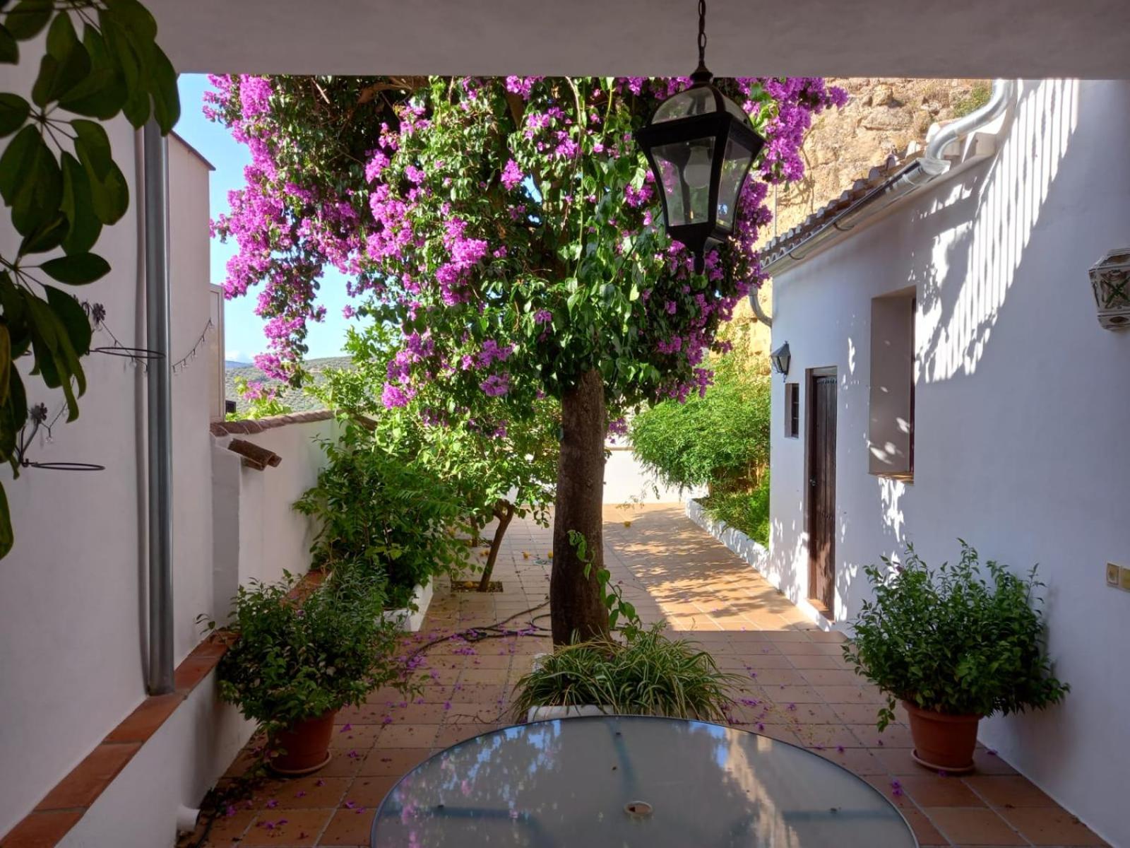 La Villa, Alojamiento Rural