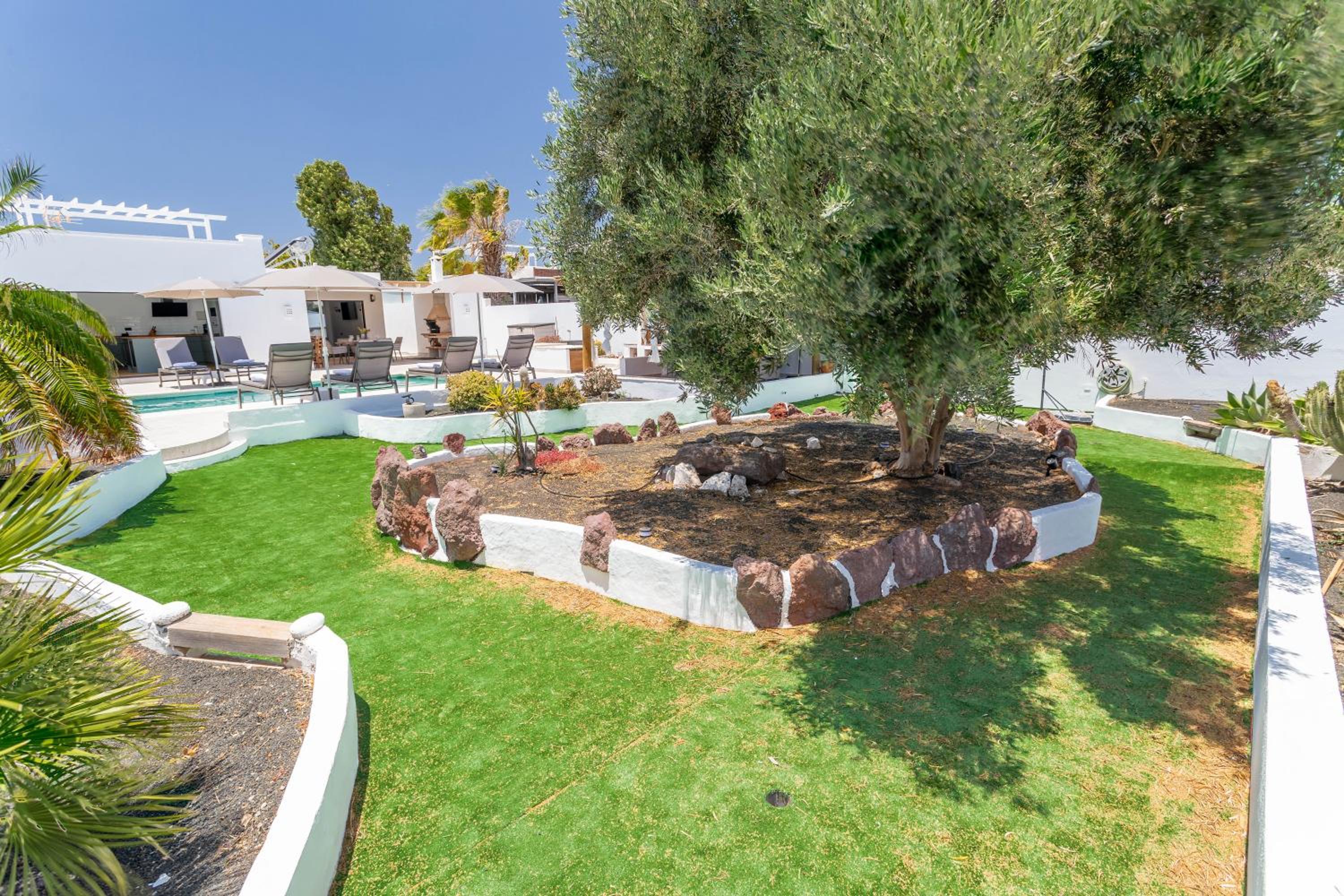 Villa Olive Tree