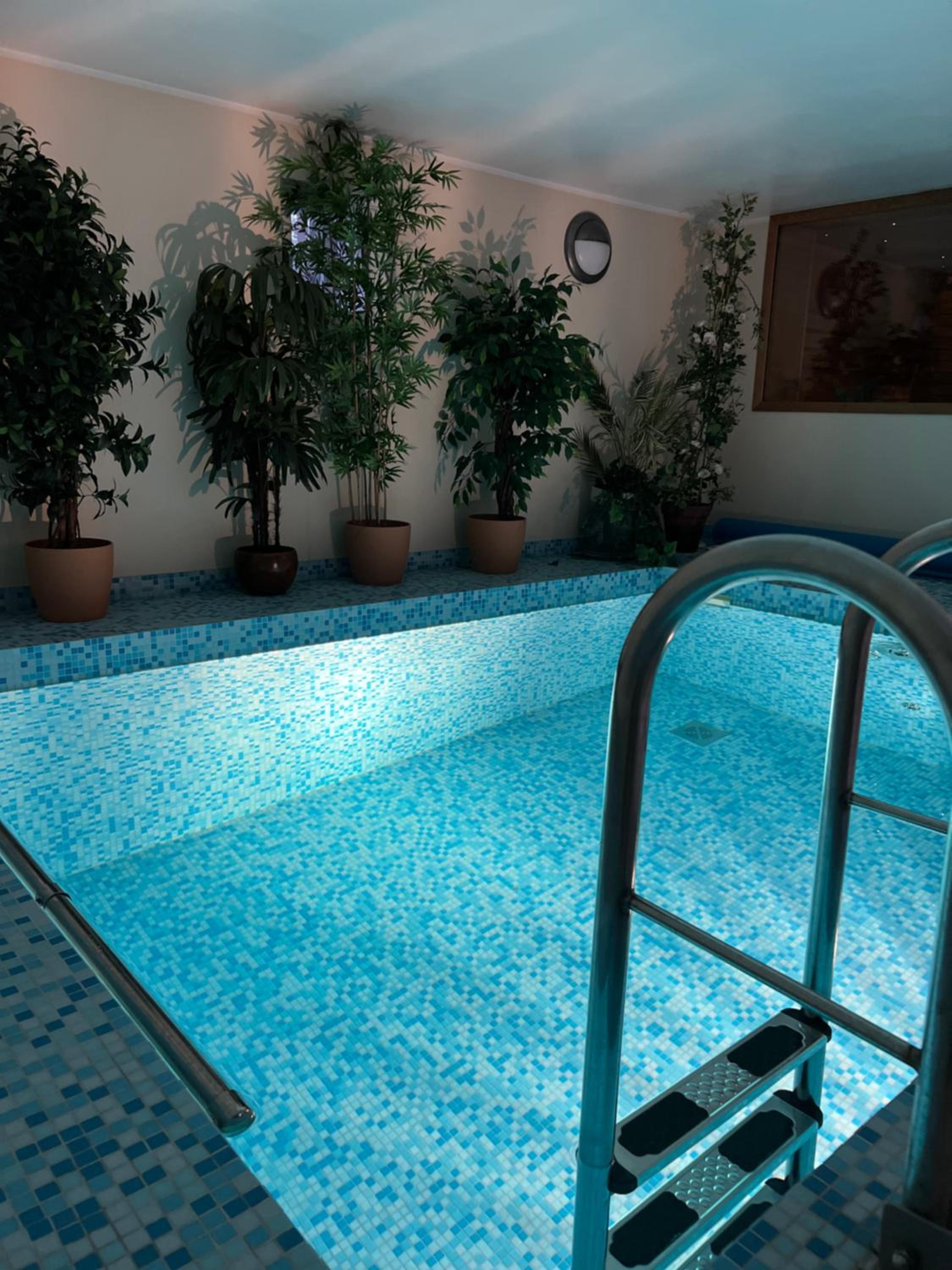 Villa Muusa with a cozy sauna, swimming pool and large beautiful garden
