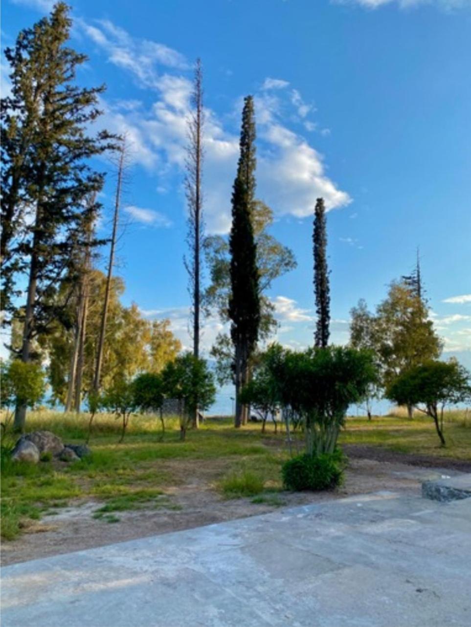 Photo 48