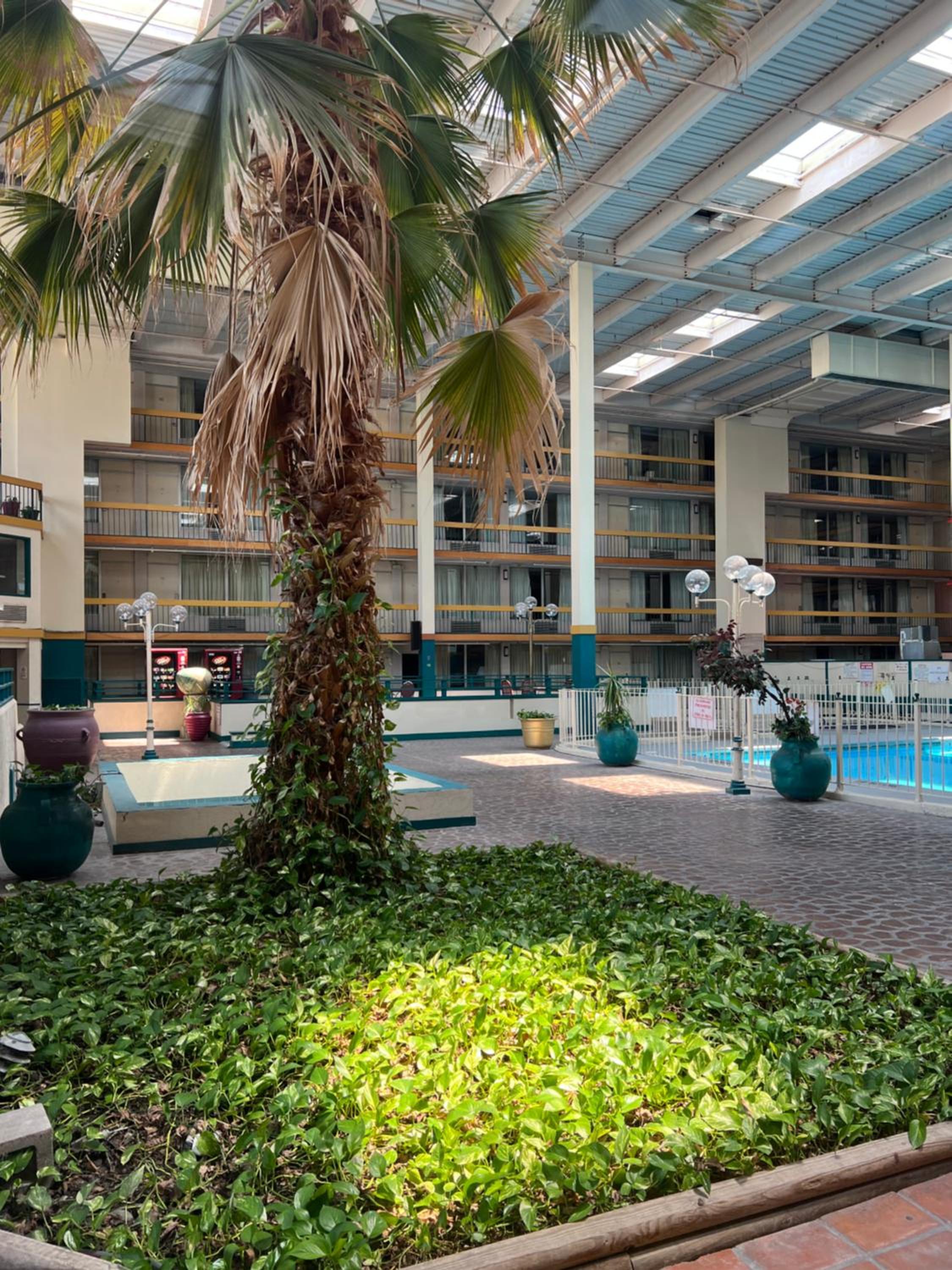 The Lodge Hotel and Banquets - Property Image 20