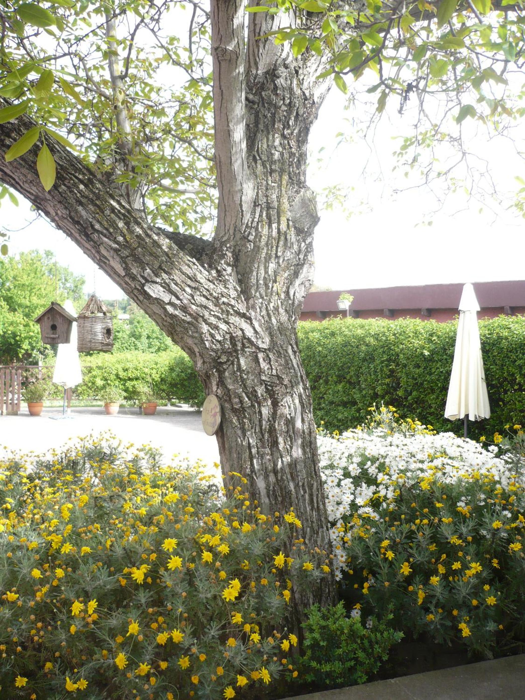 Il Baffetto B&B
