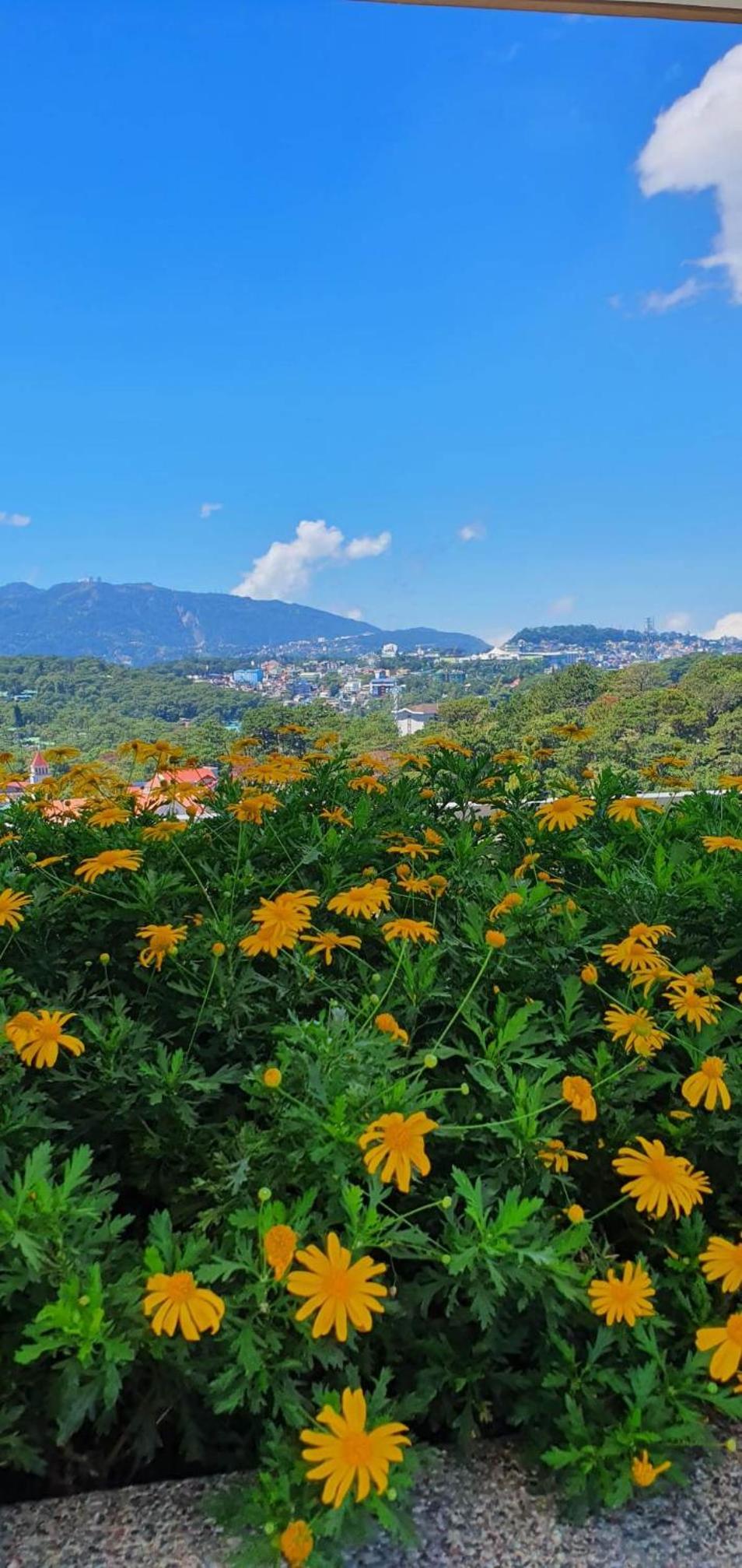 JCGA Apartments at Bristle Ridge Condominium Near Botanical Garden and The Mansion view 3