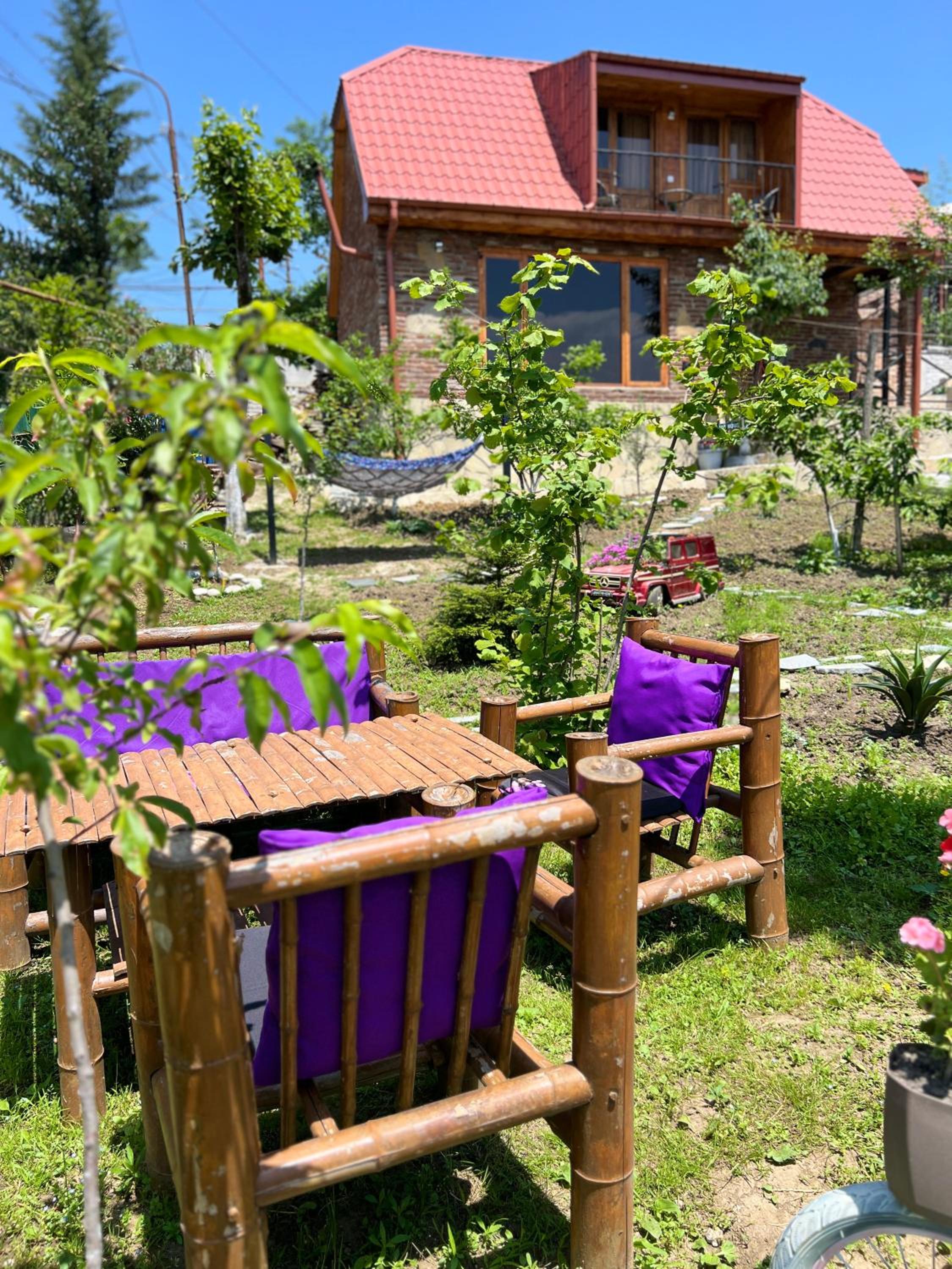 Sunshine House