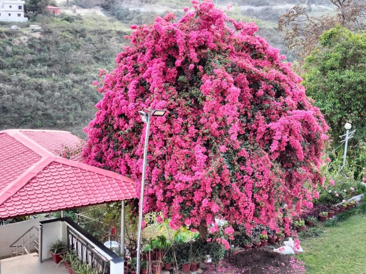 Riverside Resorts