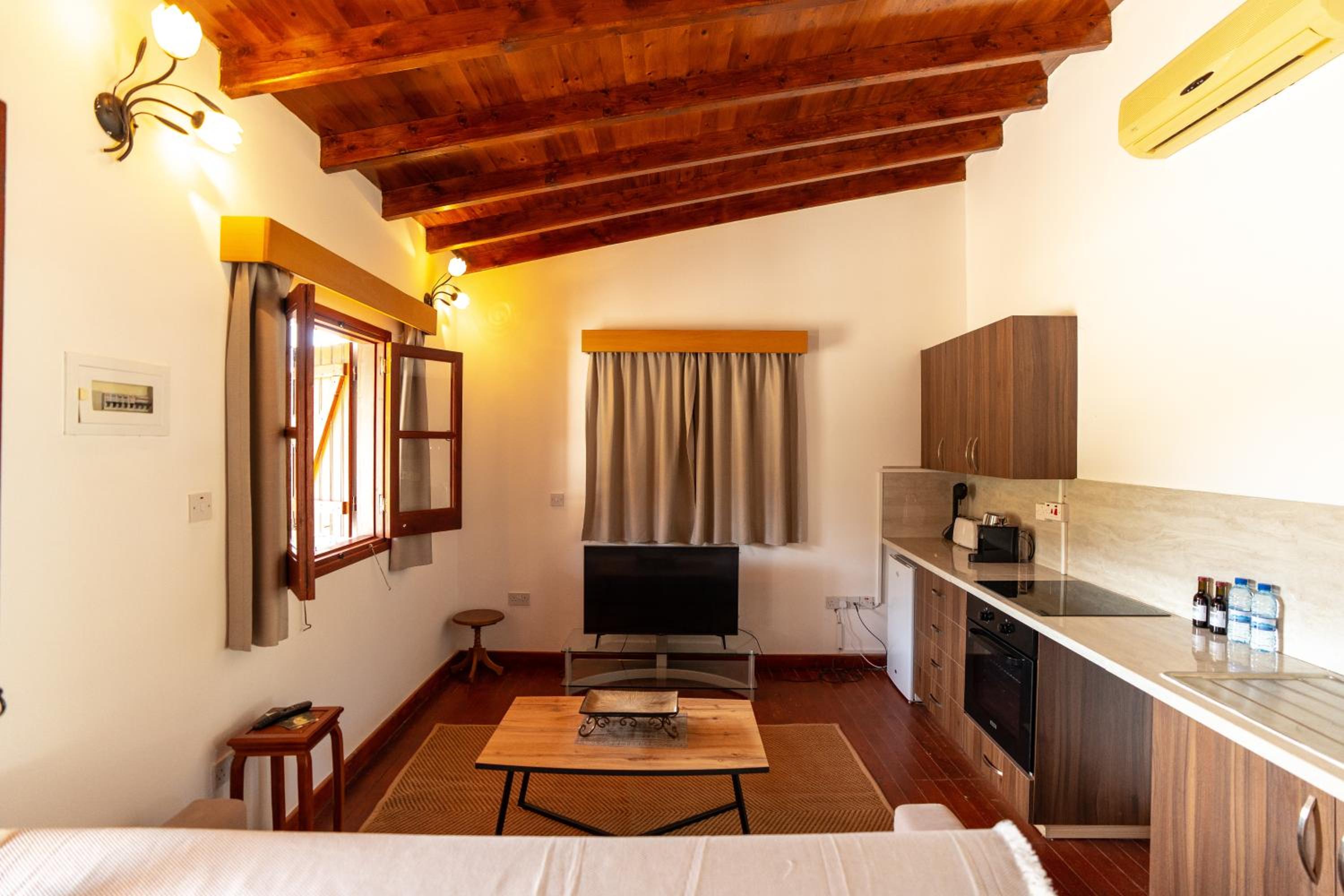 Steni Traditional Studio Apartment view 4