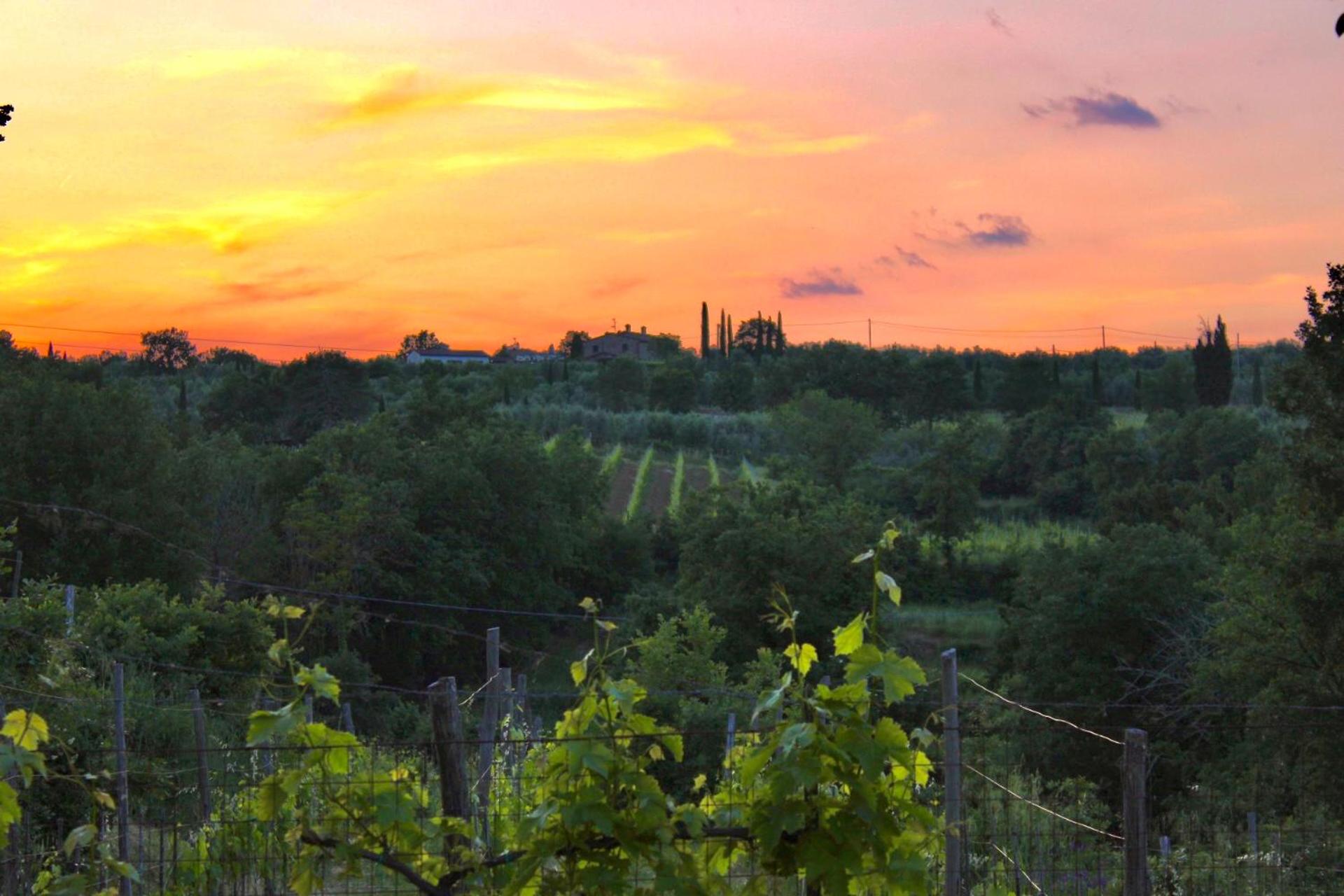 B&B Terre Toscane view 2