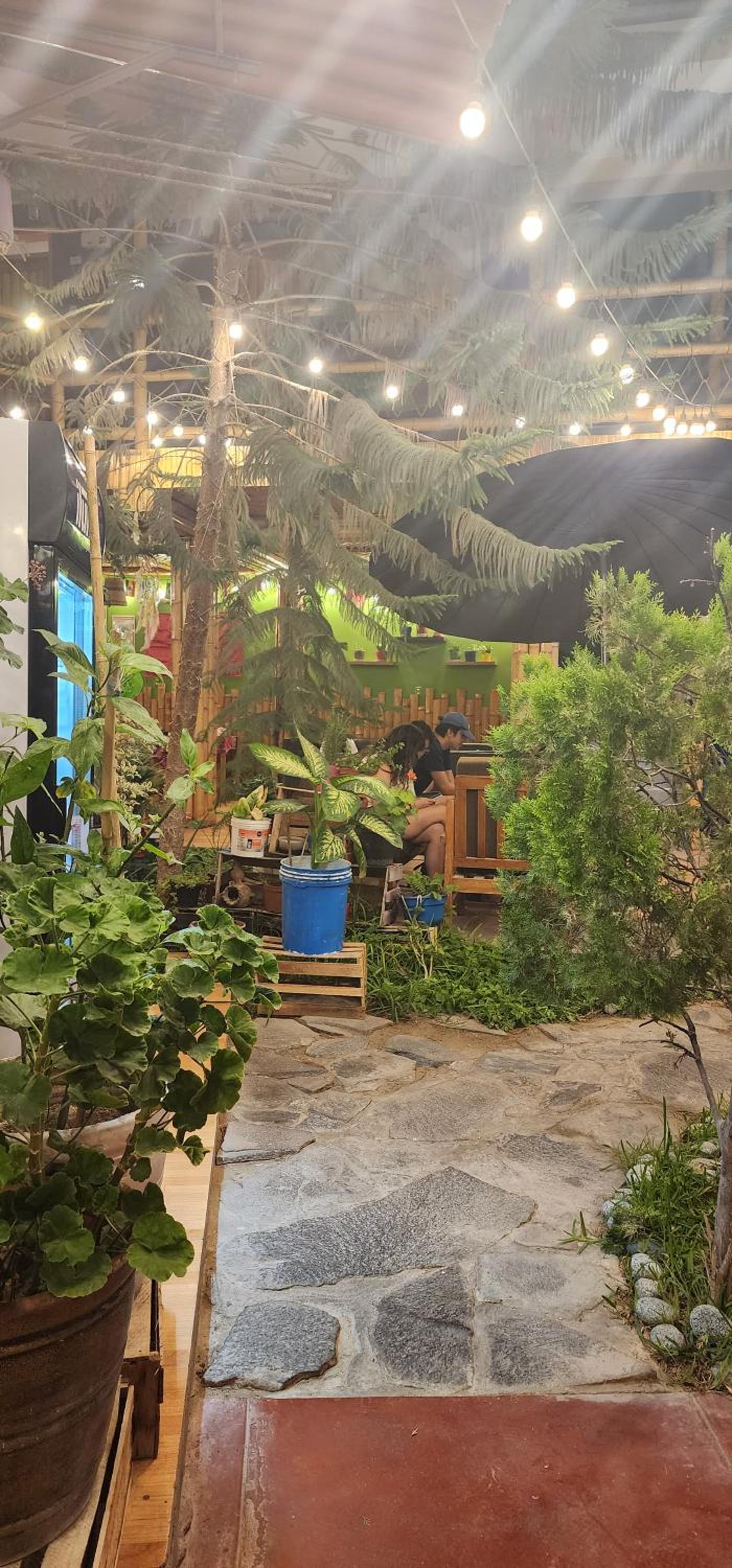 La Casa de Bamboo