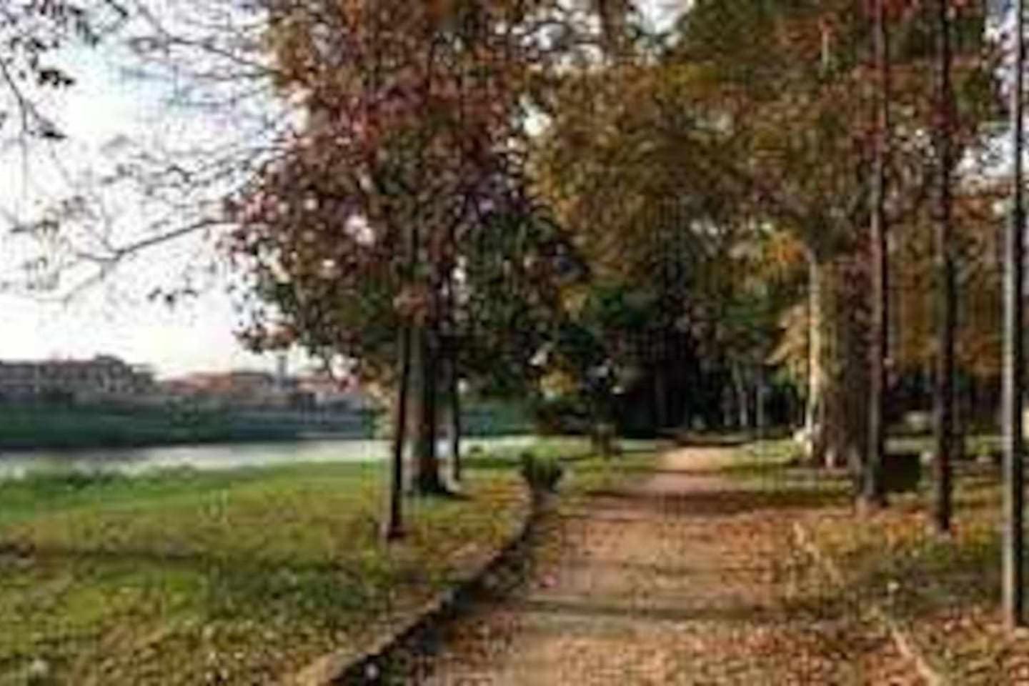 Tirrenia Appartamento Pineta