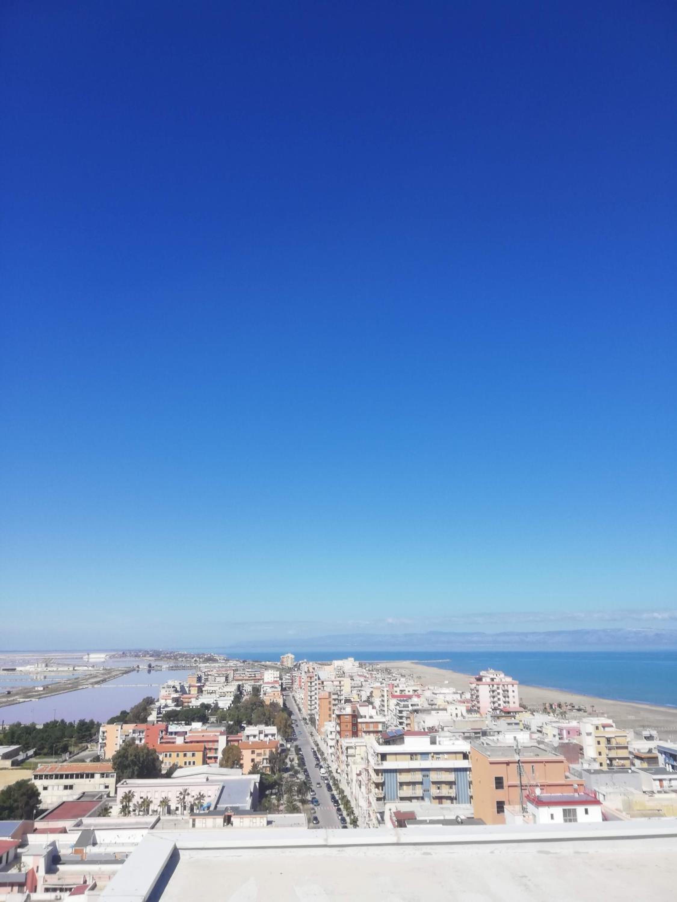 Fenicottero Rosa