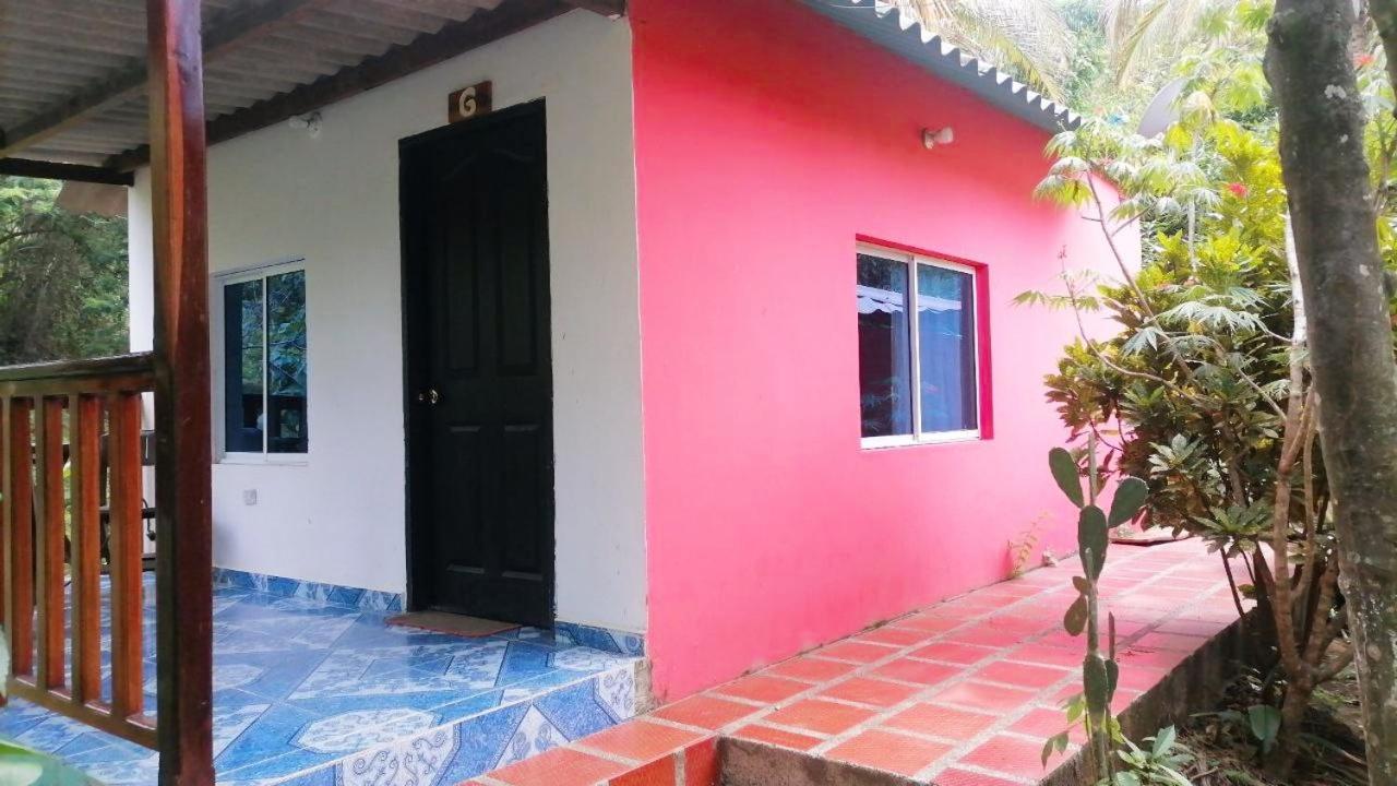 Photo 41