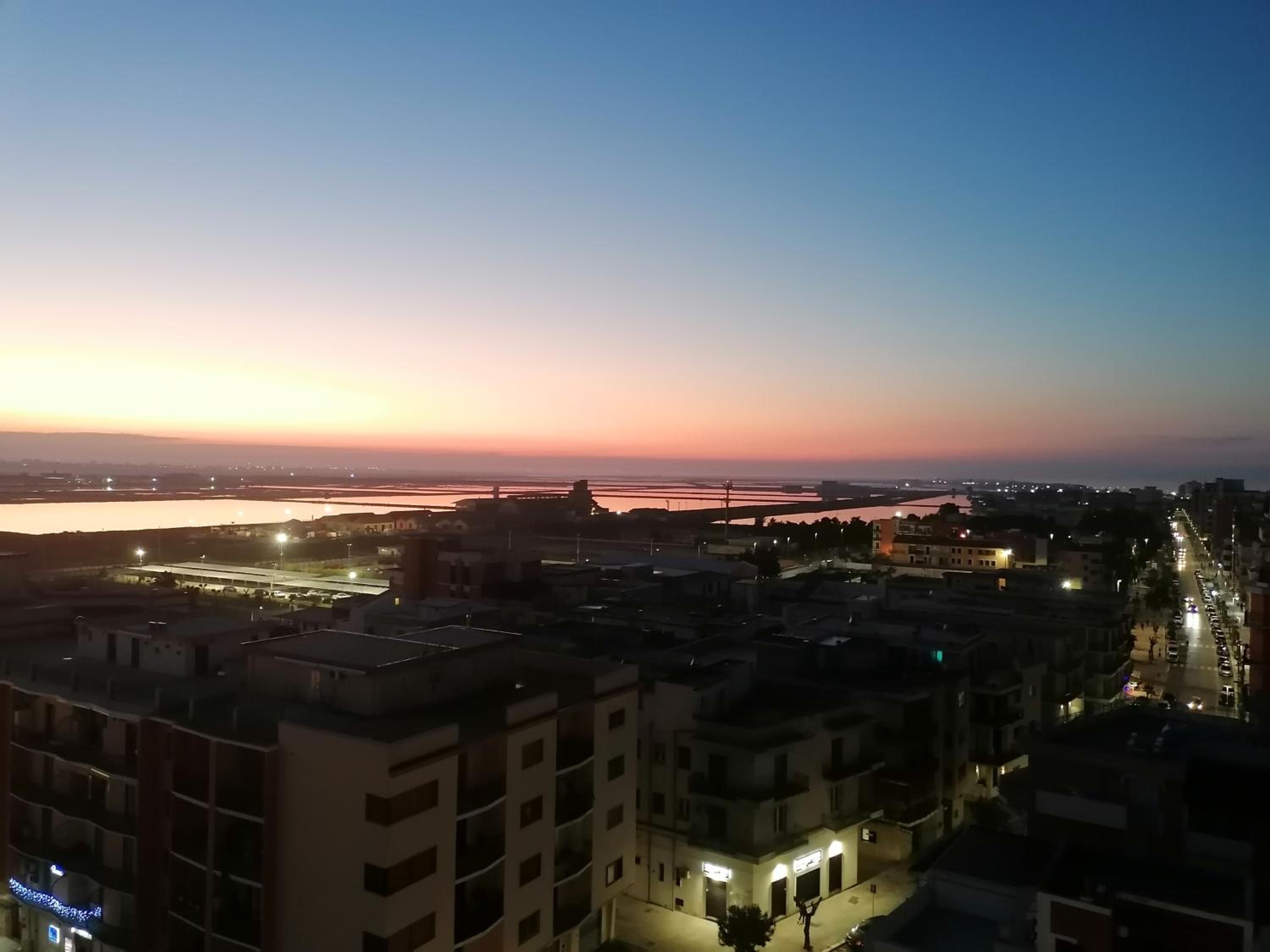 Fenicottero Rosa