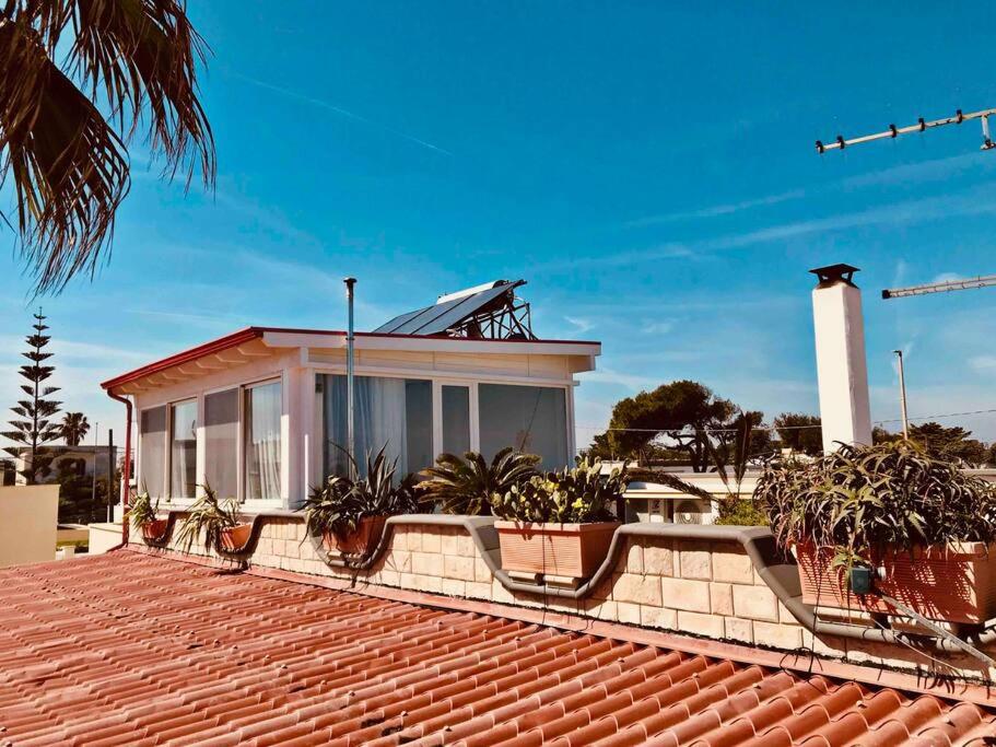roof