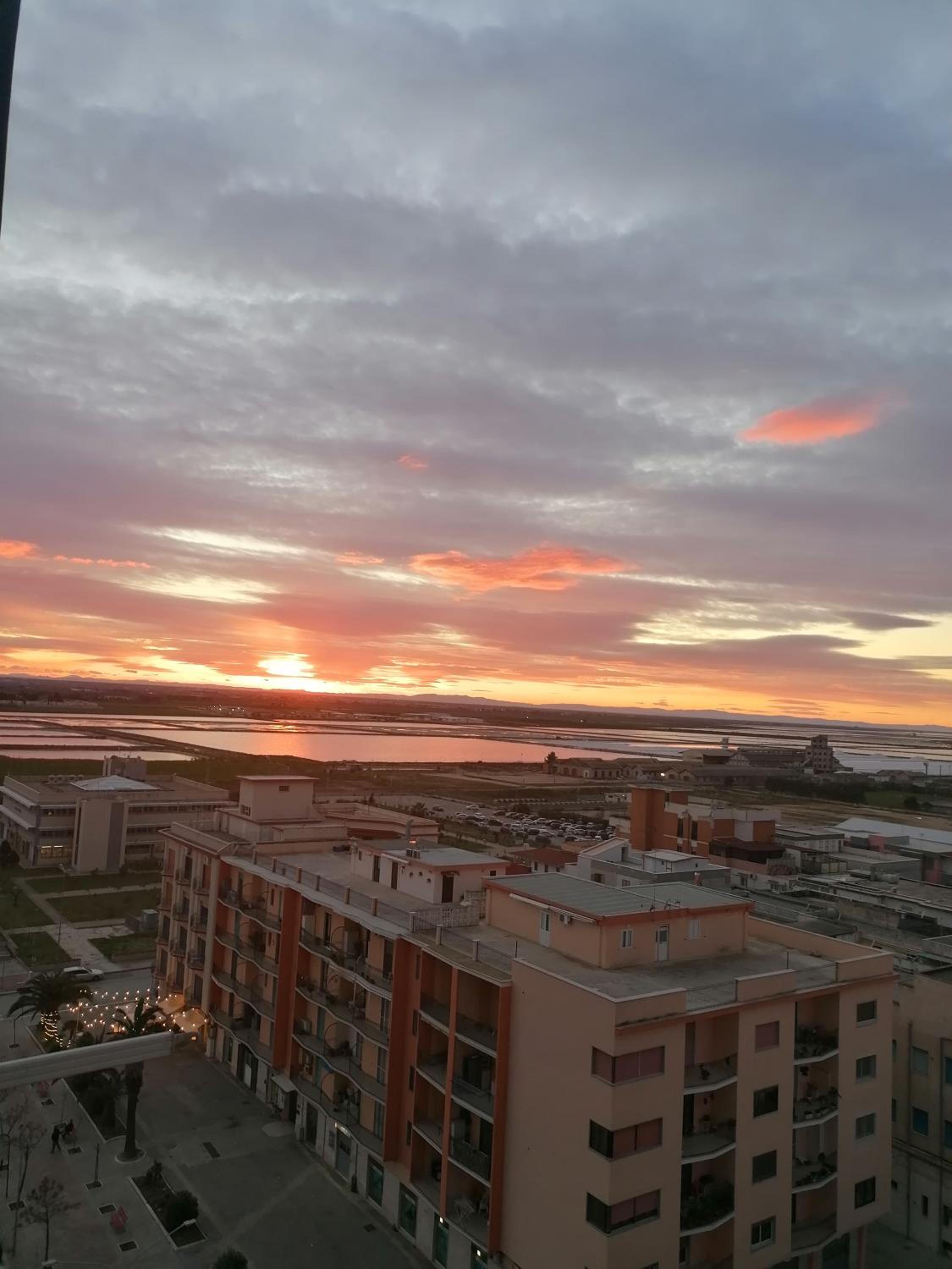 Fenicottero Rosa