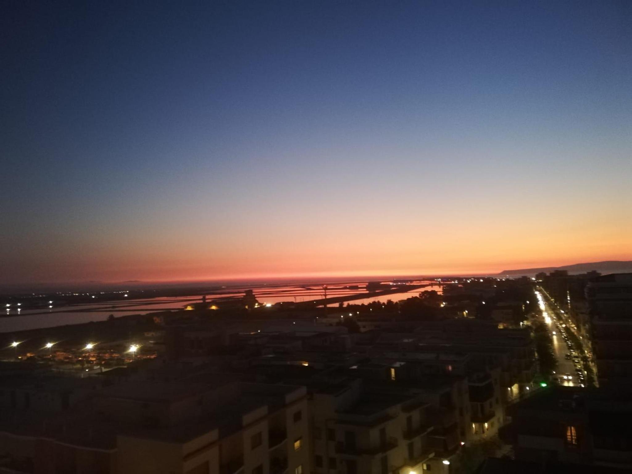 Fenicottero Rosa