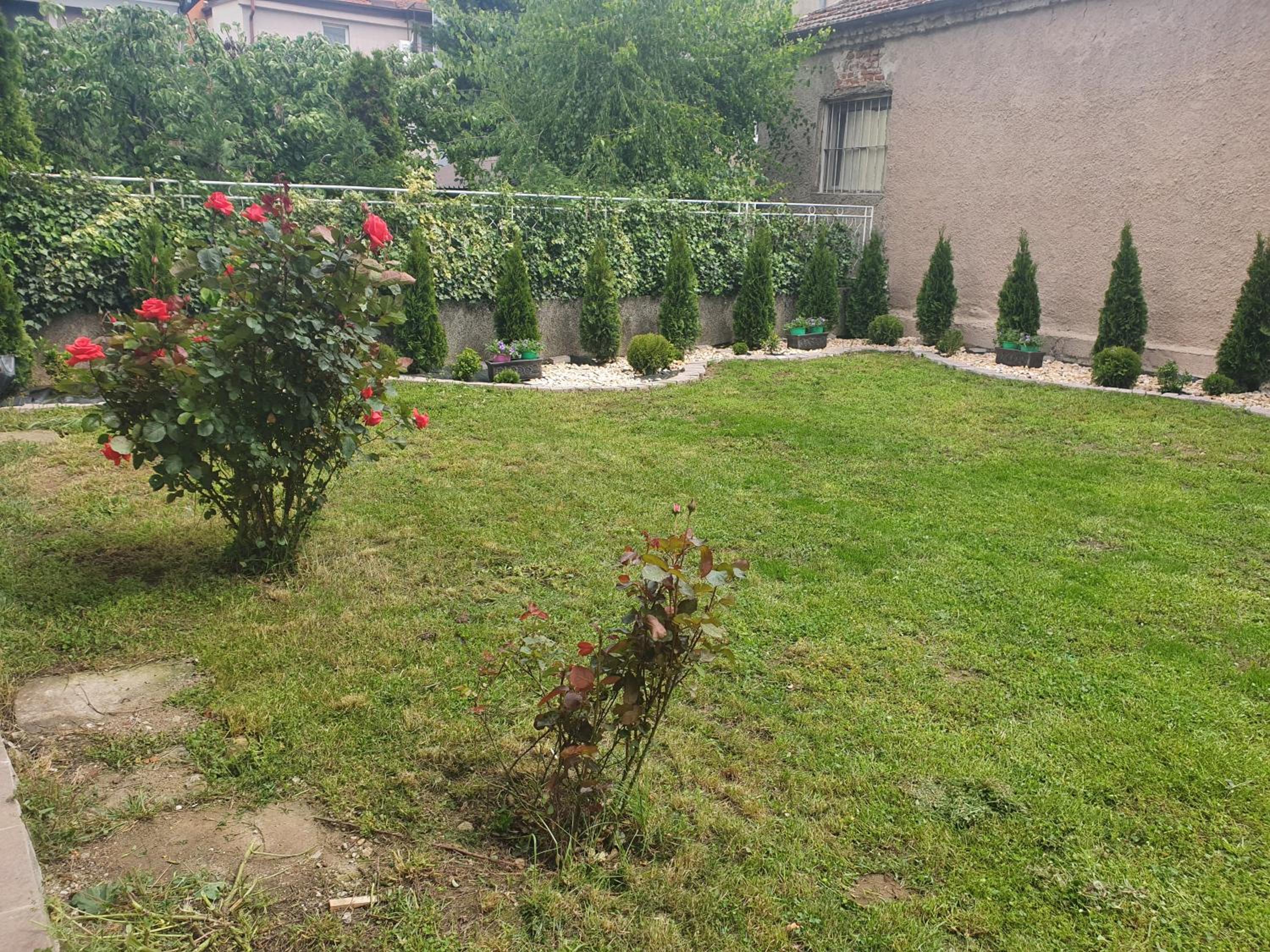 Photo 13