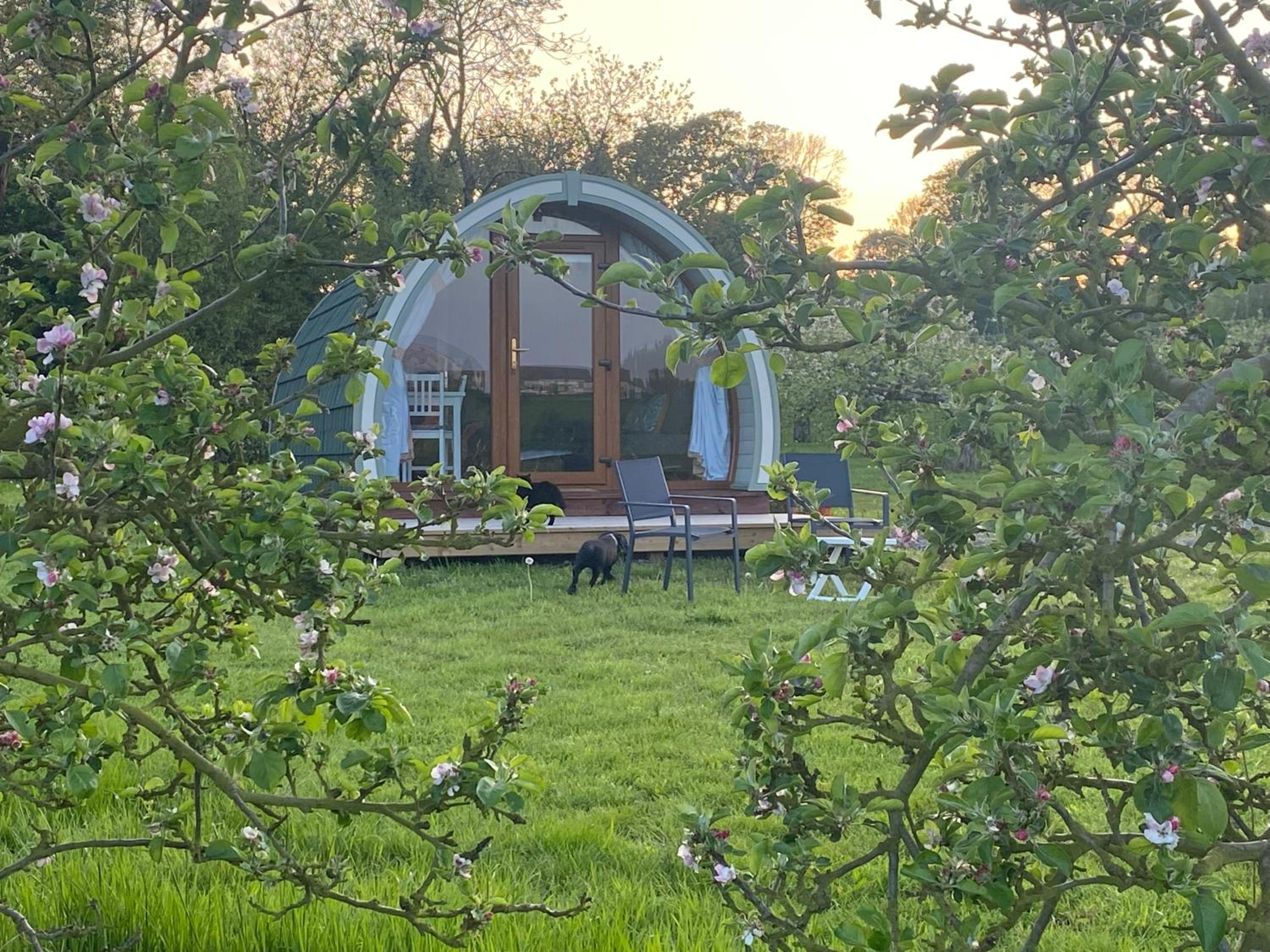 Orchard Luxe Glamping Pod view 4